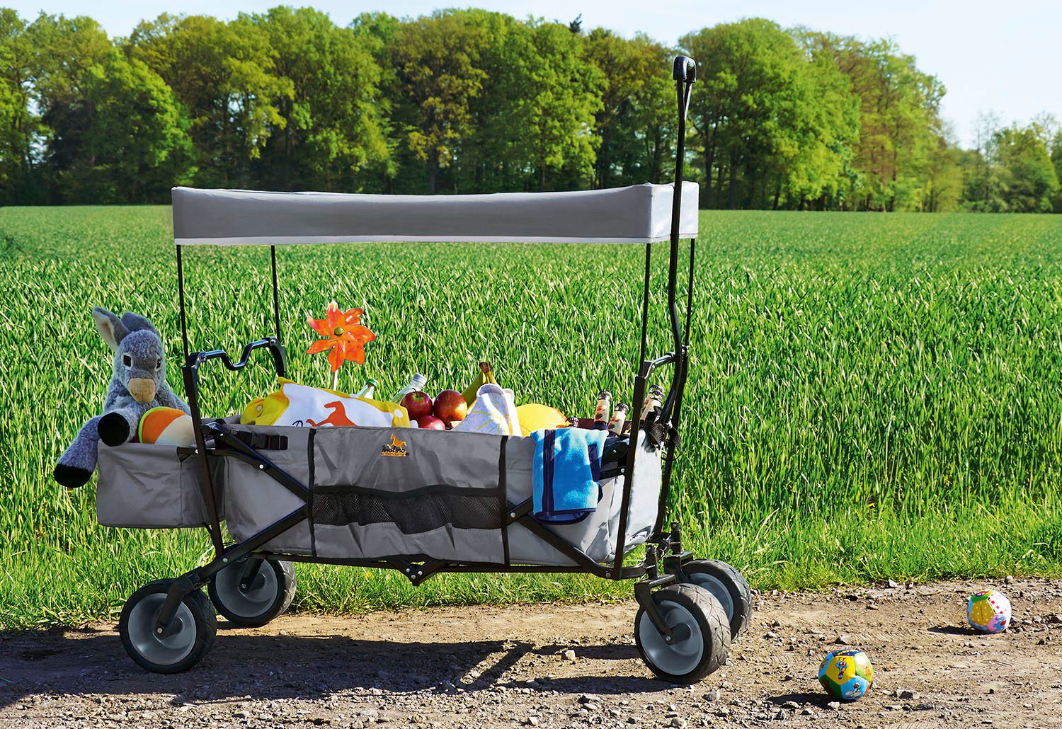 Pinolino® Bolderkar Paxi, grau