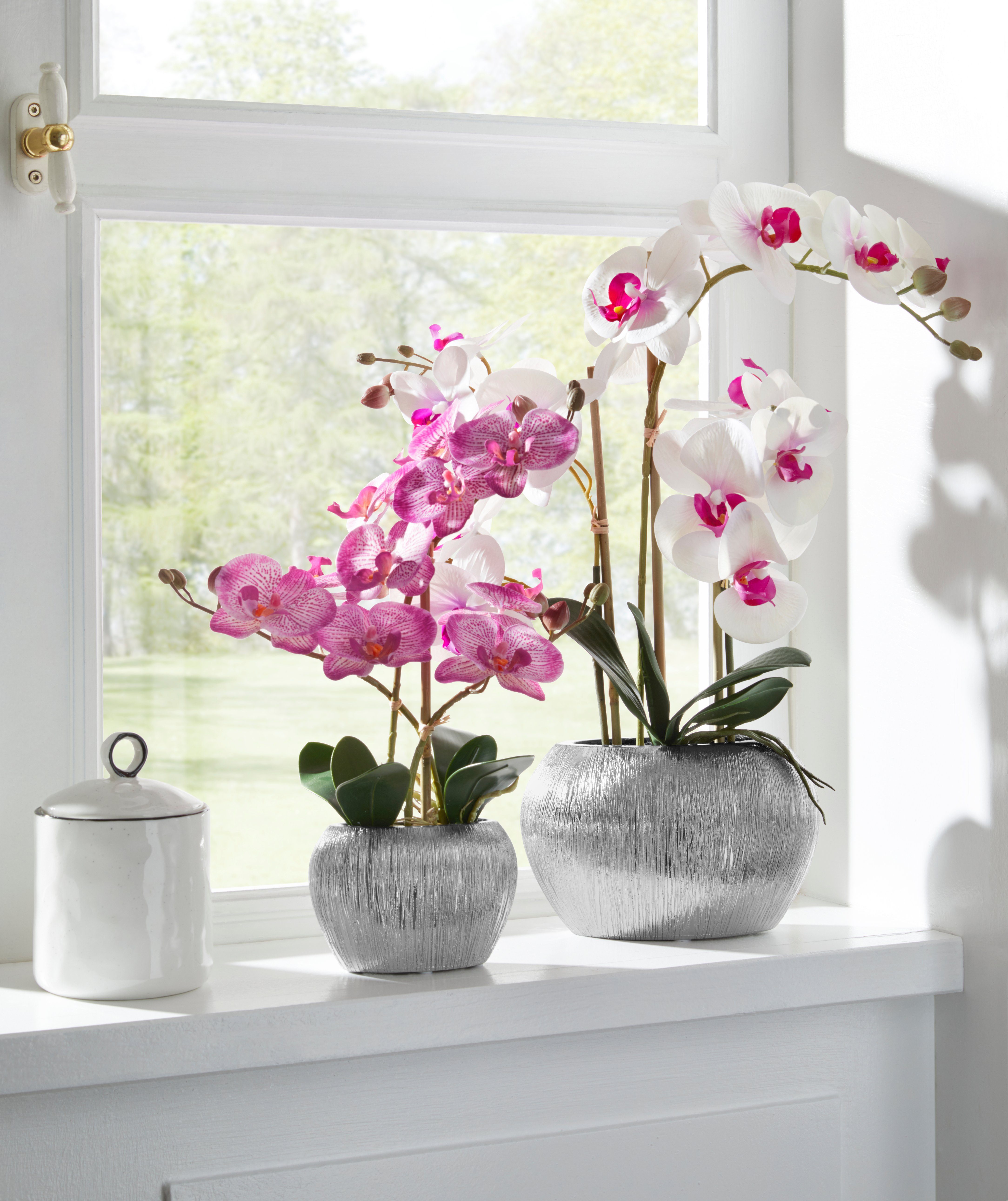Home affaire Kunstplant Orchidee Kunstorchidee, in een pot (1 stuk)