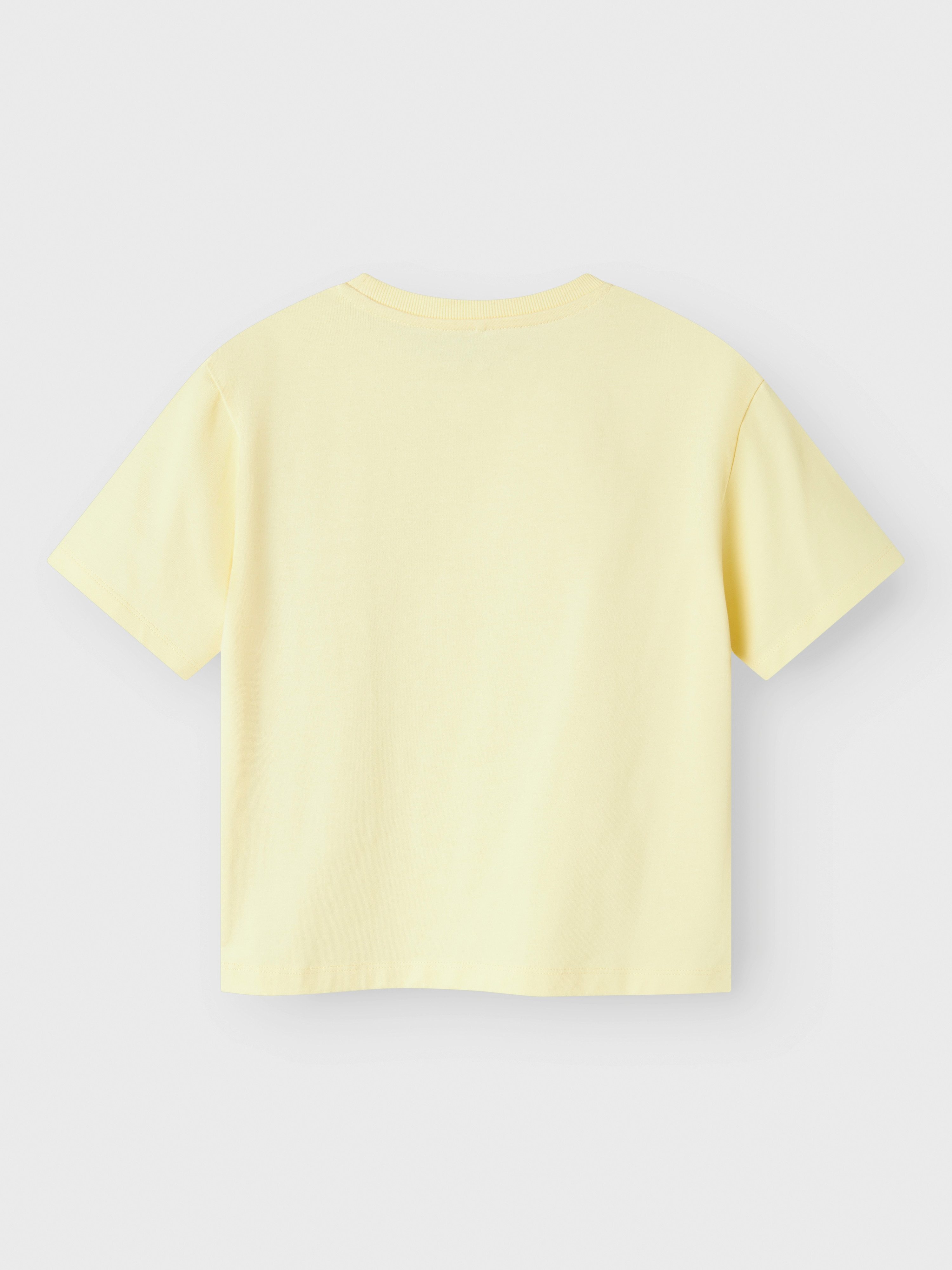 Name It T-shirt NKFGREGA SS NREG TOP NOOS
