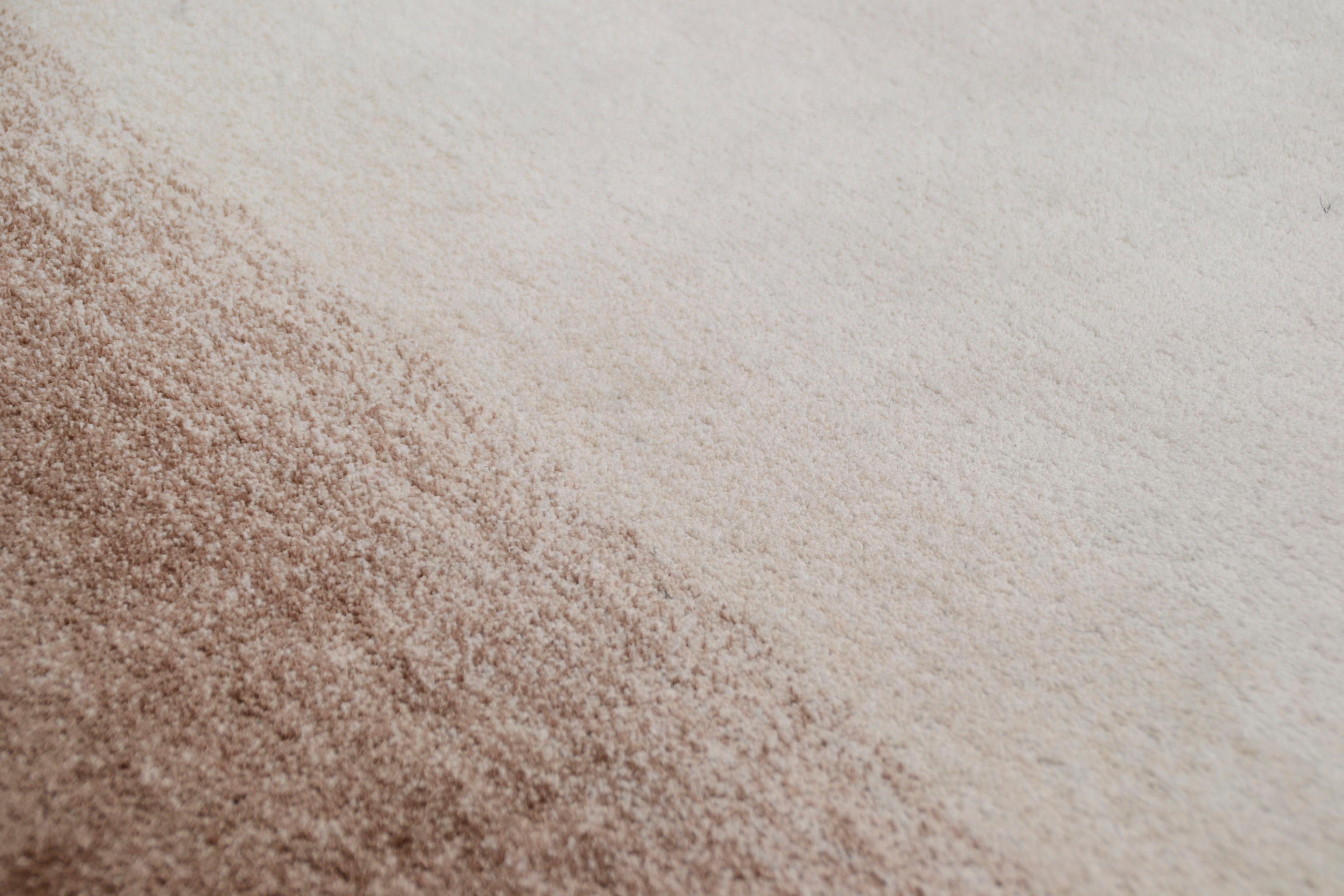 THEKO Vloerkleed Hula bijzonder zacht door microvezel, ideaal in de woonkamer & slaapkamer