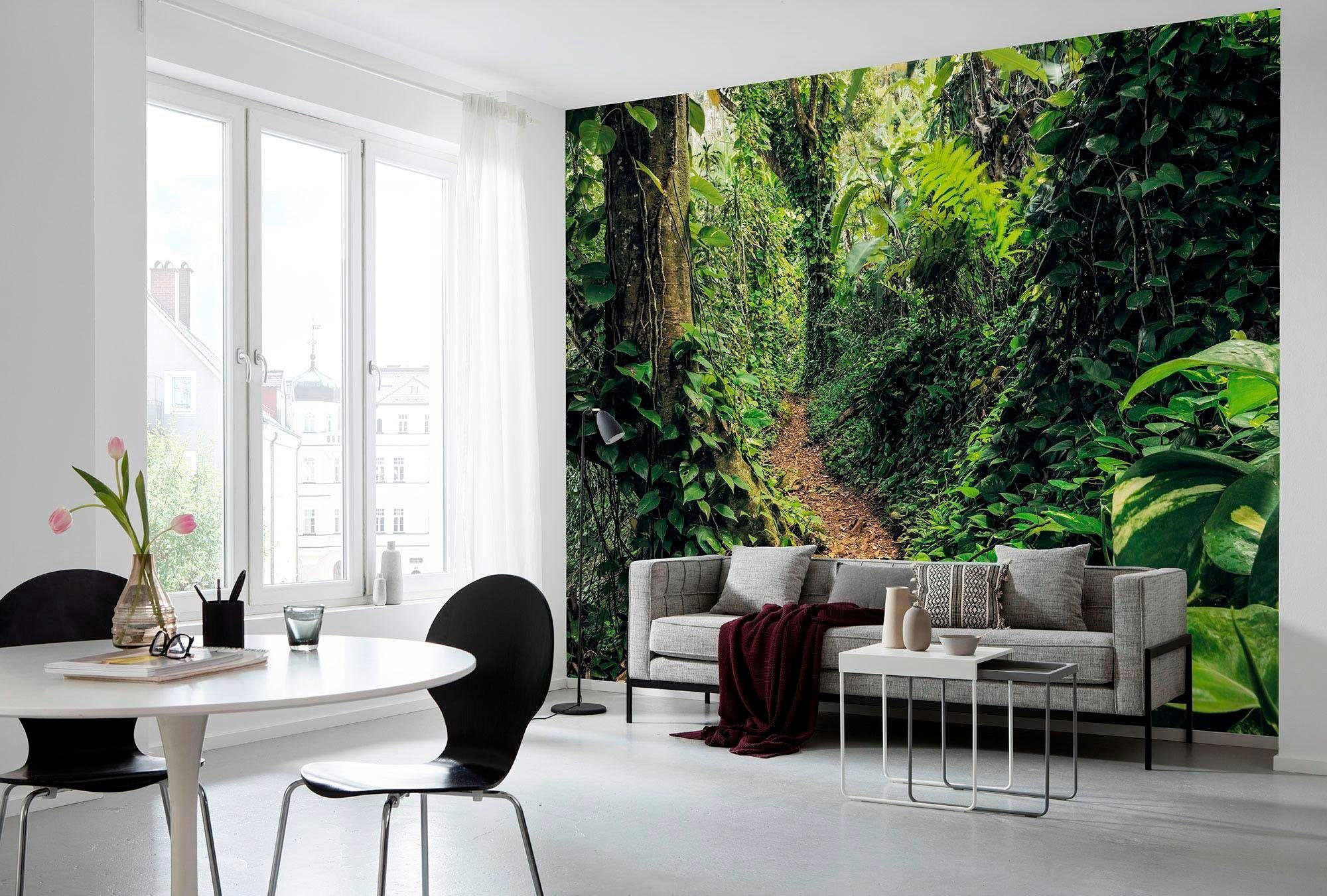 Komar Vliesbehang Digitale print vlies - Path of Dreams - Afmeting 400 x 250 cm (1 stuk)