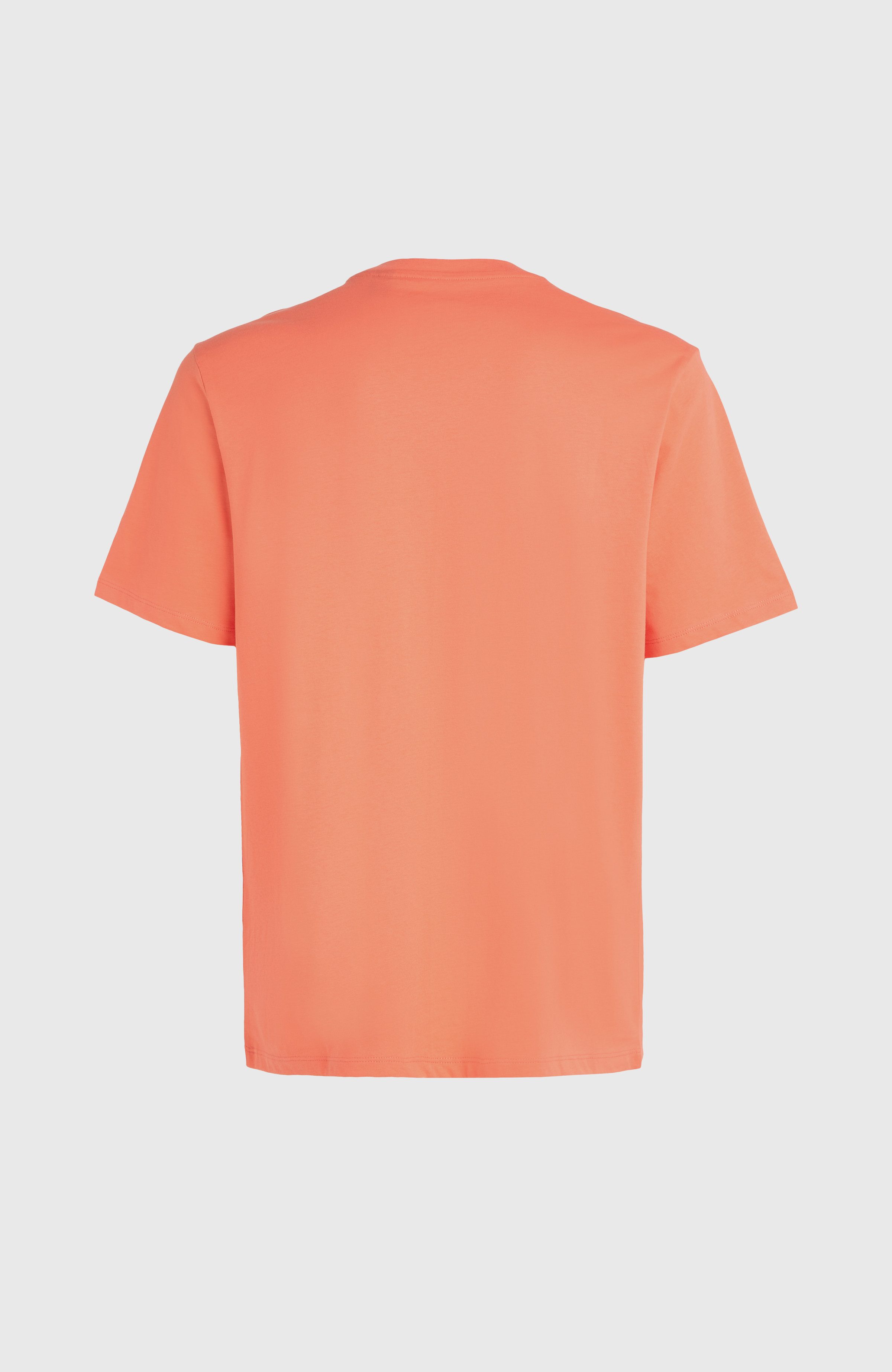 O'Neill T-shirt O'NEILL SMALL LOGO T-SHIRT