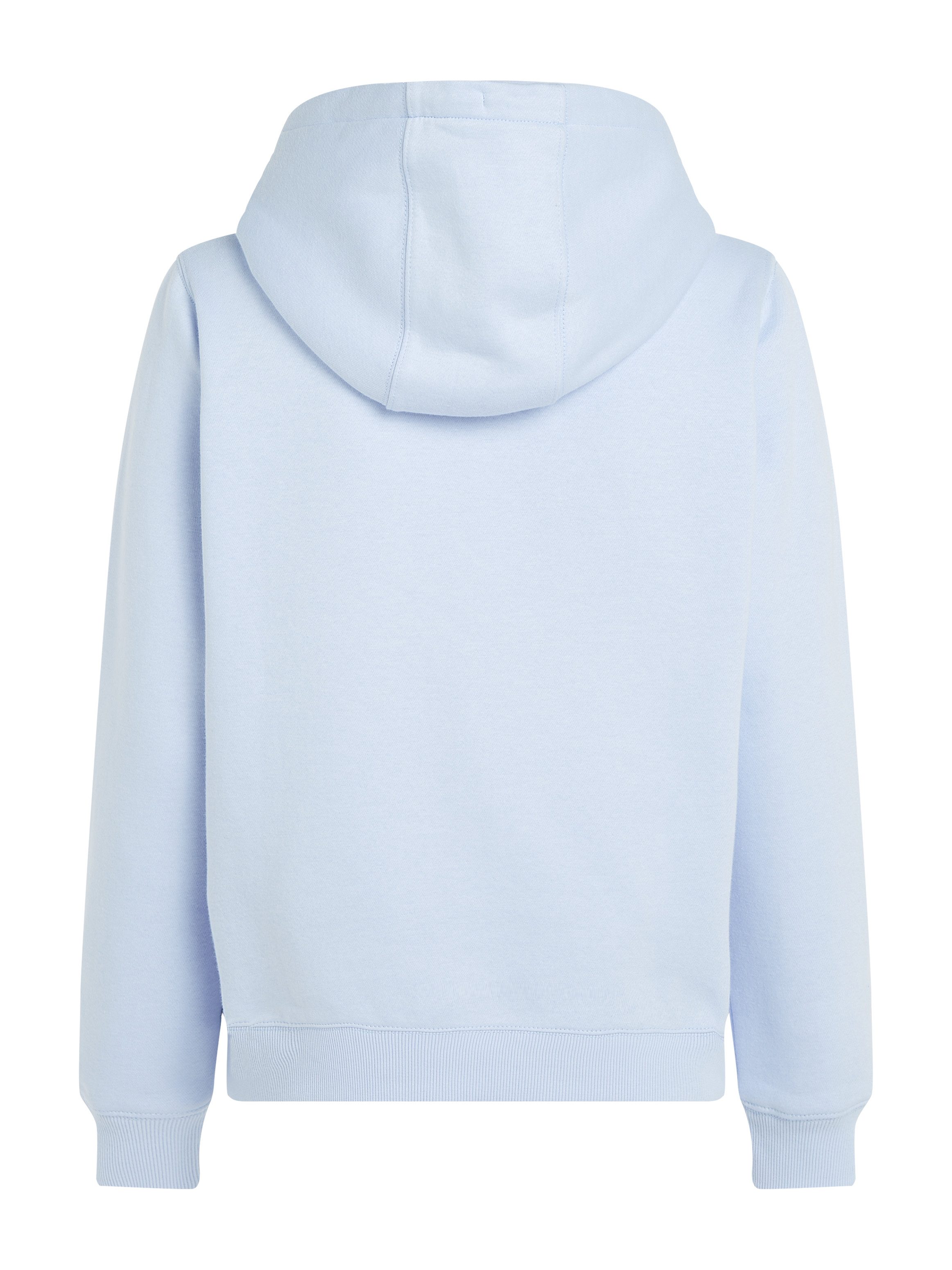 TOMMY JEANS Hoodie TJW REG S FLAG HOODIE