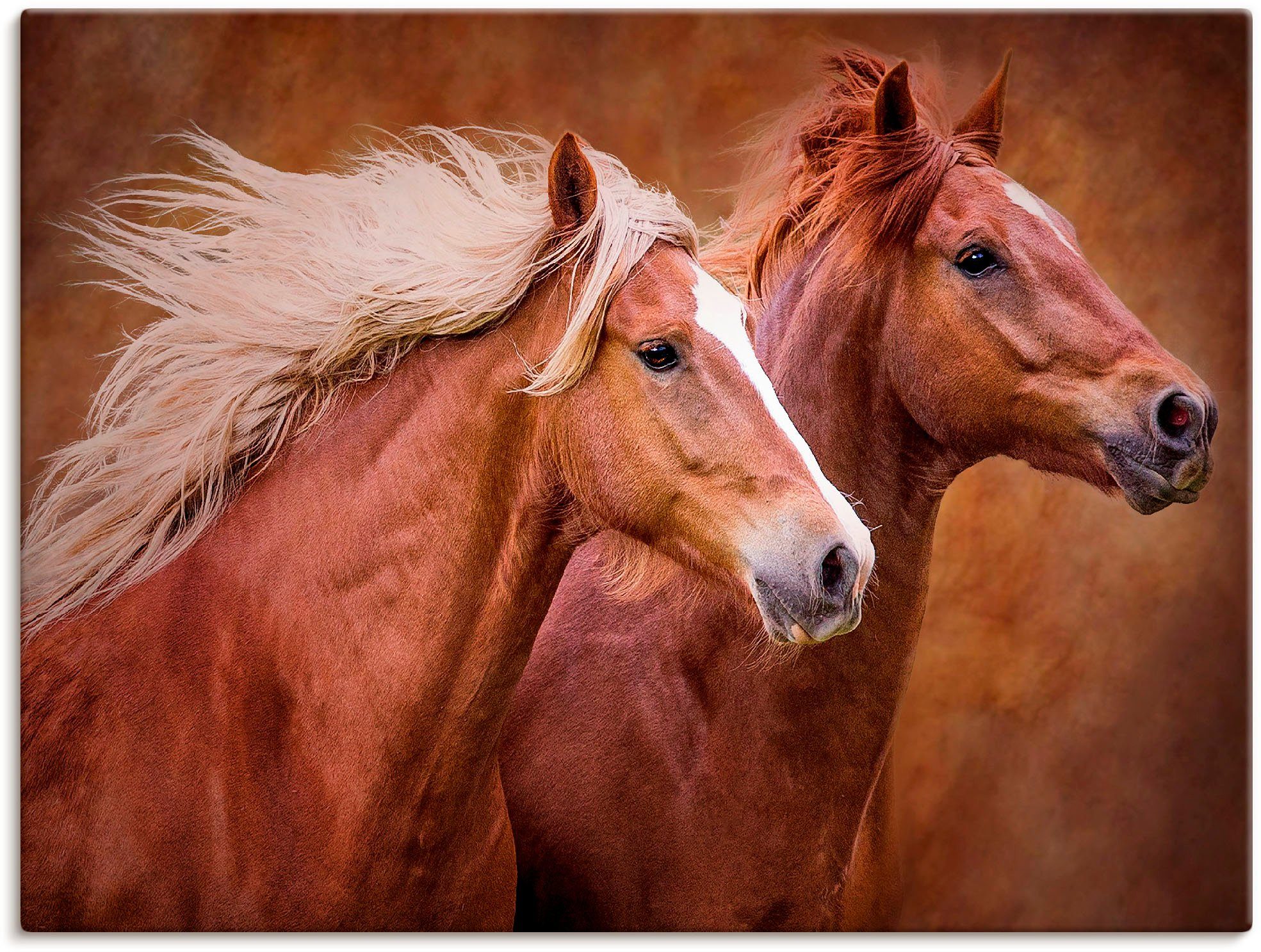 Artland Artprint Raszuivere paarden I als artprint op linnen, poster, muursticker in verschillende maten foto schilderijen maat 40 cm x 30 cm bruin