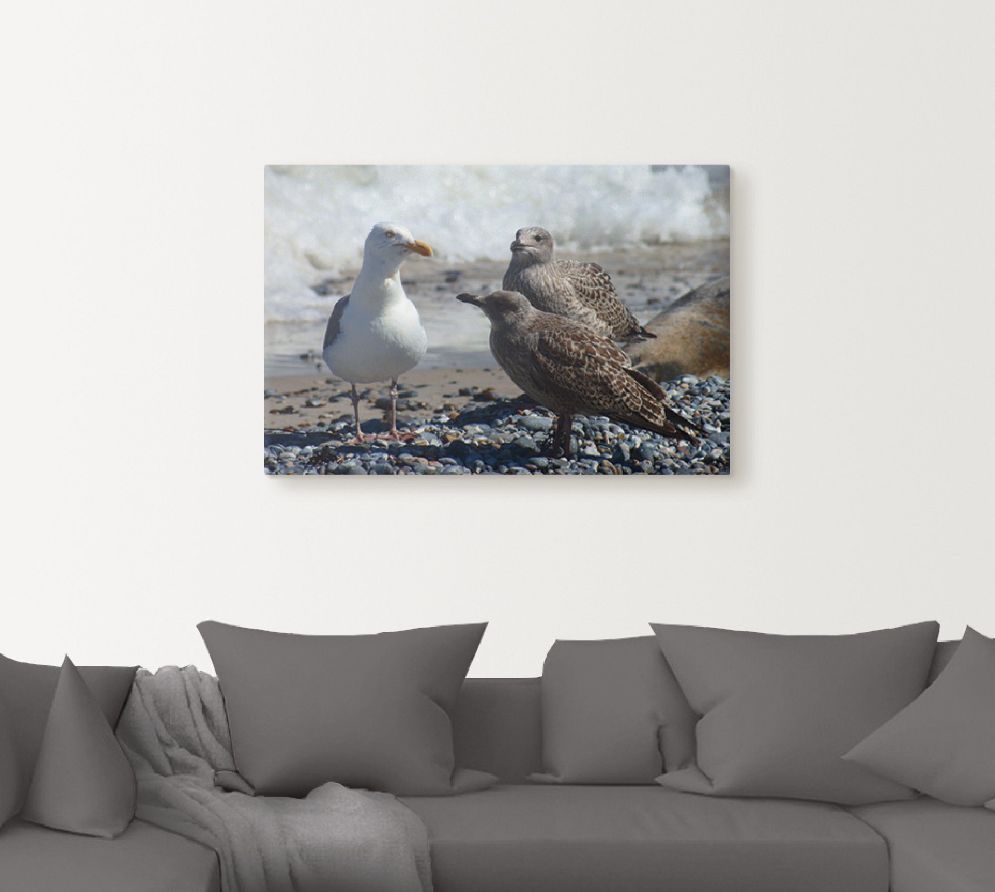 Artland Artprint Meeuwen op het Noordzeestrand als artprint van aluminium, artprint op linnen, muursticker of poster in verschillende maten