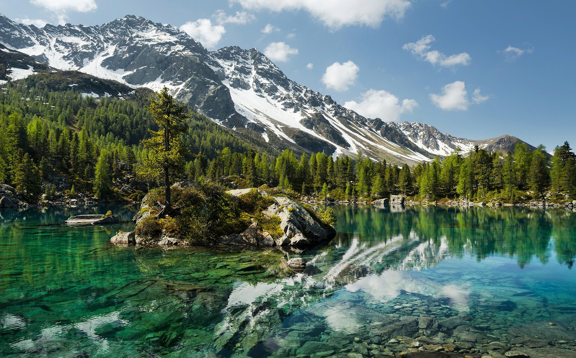 Komar fotobehang Bergmagie