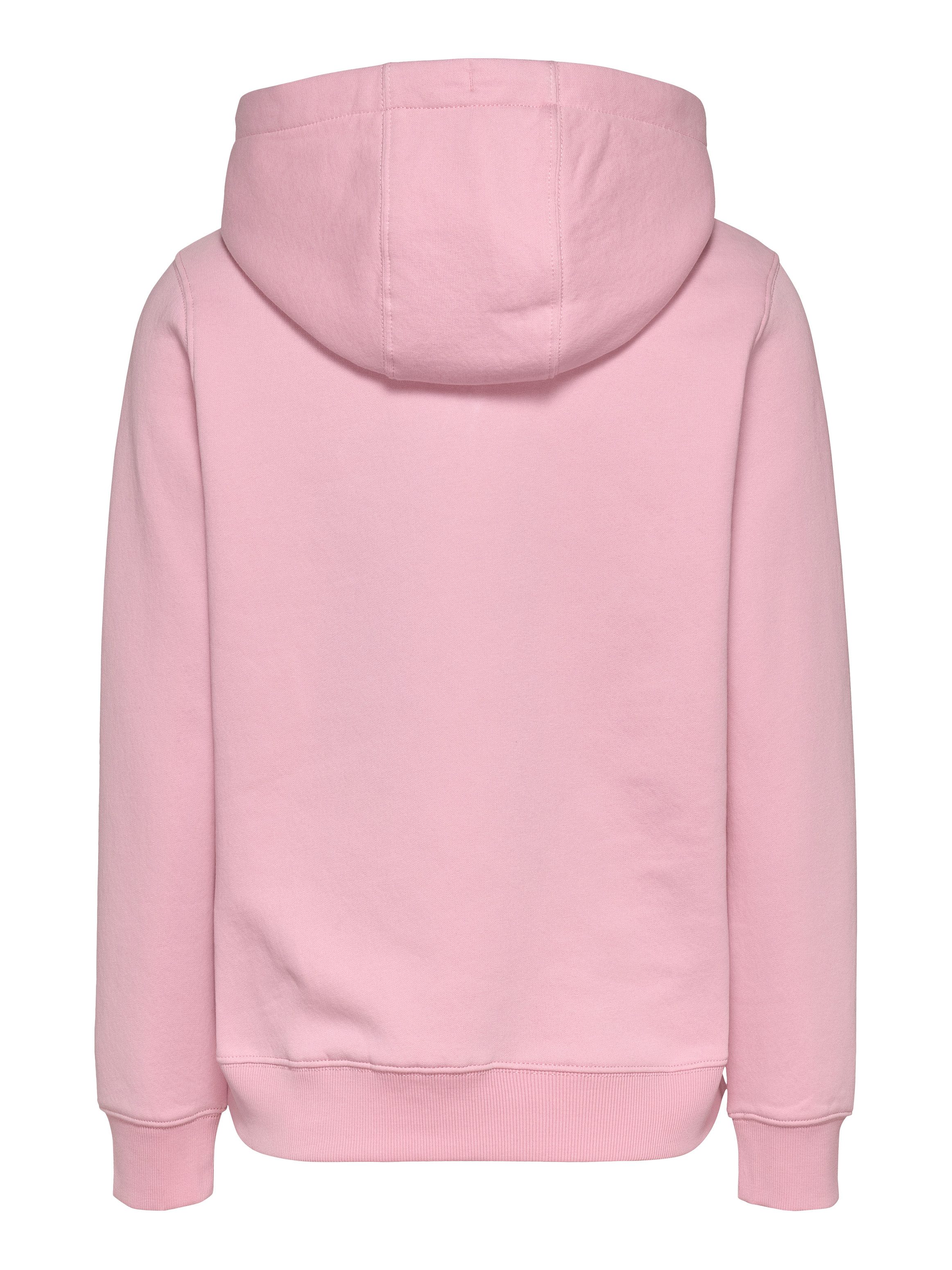 Tommy Jeans Curve Hoodie TJW REG ESS LOGO HOODIE EXT in grote maten, capuchon, logo-vlag