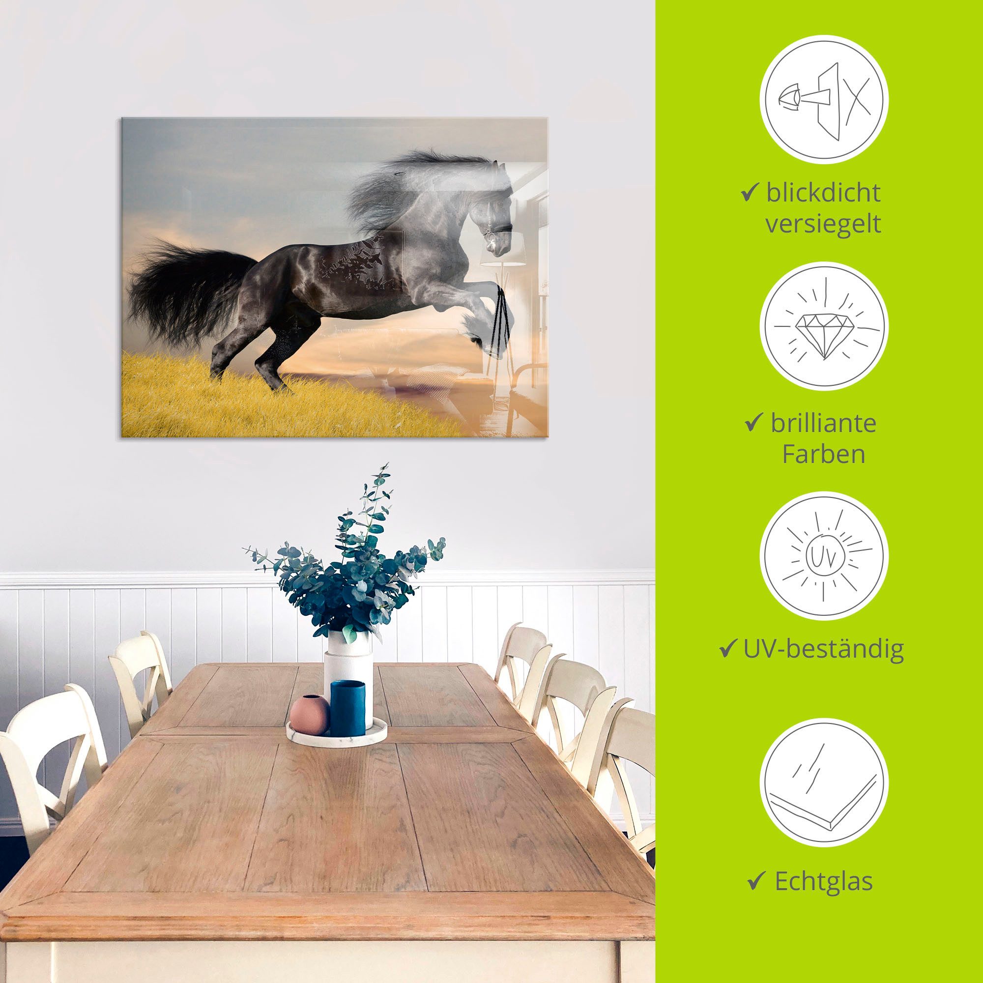 Artland Print op glas Friese hengstgalop in verschillende maten