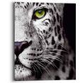 reinders! artprint panter oog roofdier - krachtig - luipaard (1 stuk) zwart