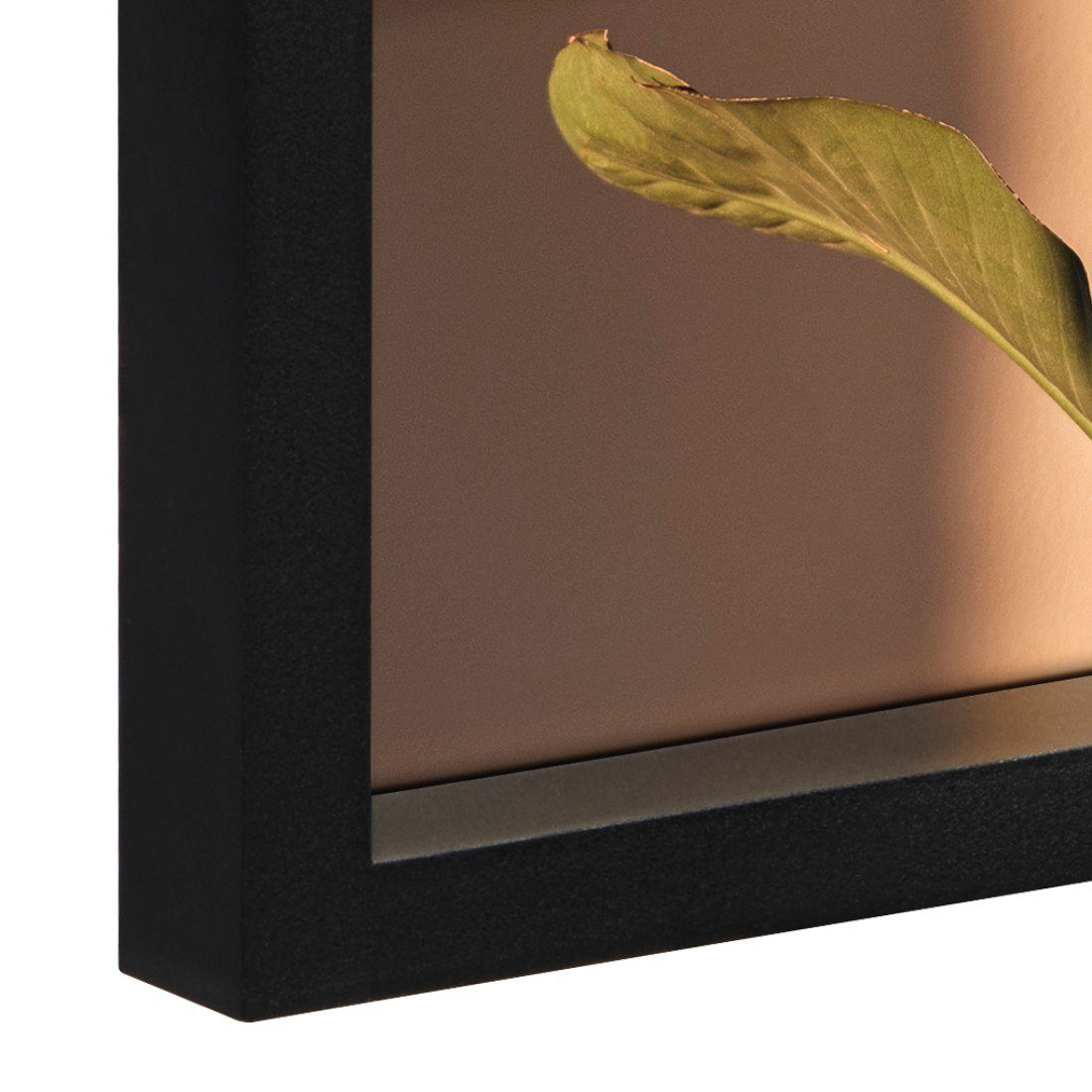 Hama Fotolijst Portretlijst galerij, 4 foto's in 10 x 15 cm formaat, om op te hangen