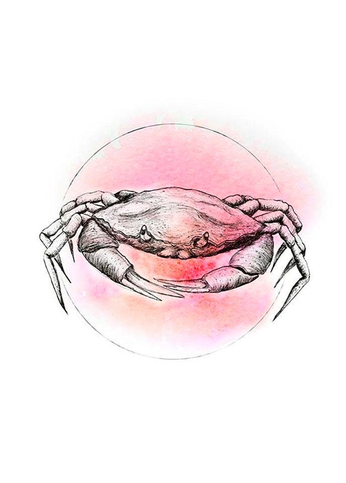 Komar Poster Crab Watercolor Hoogte: 50 cm