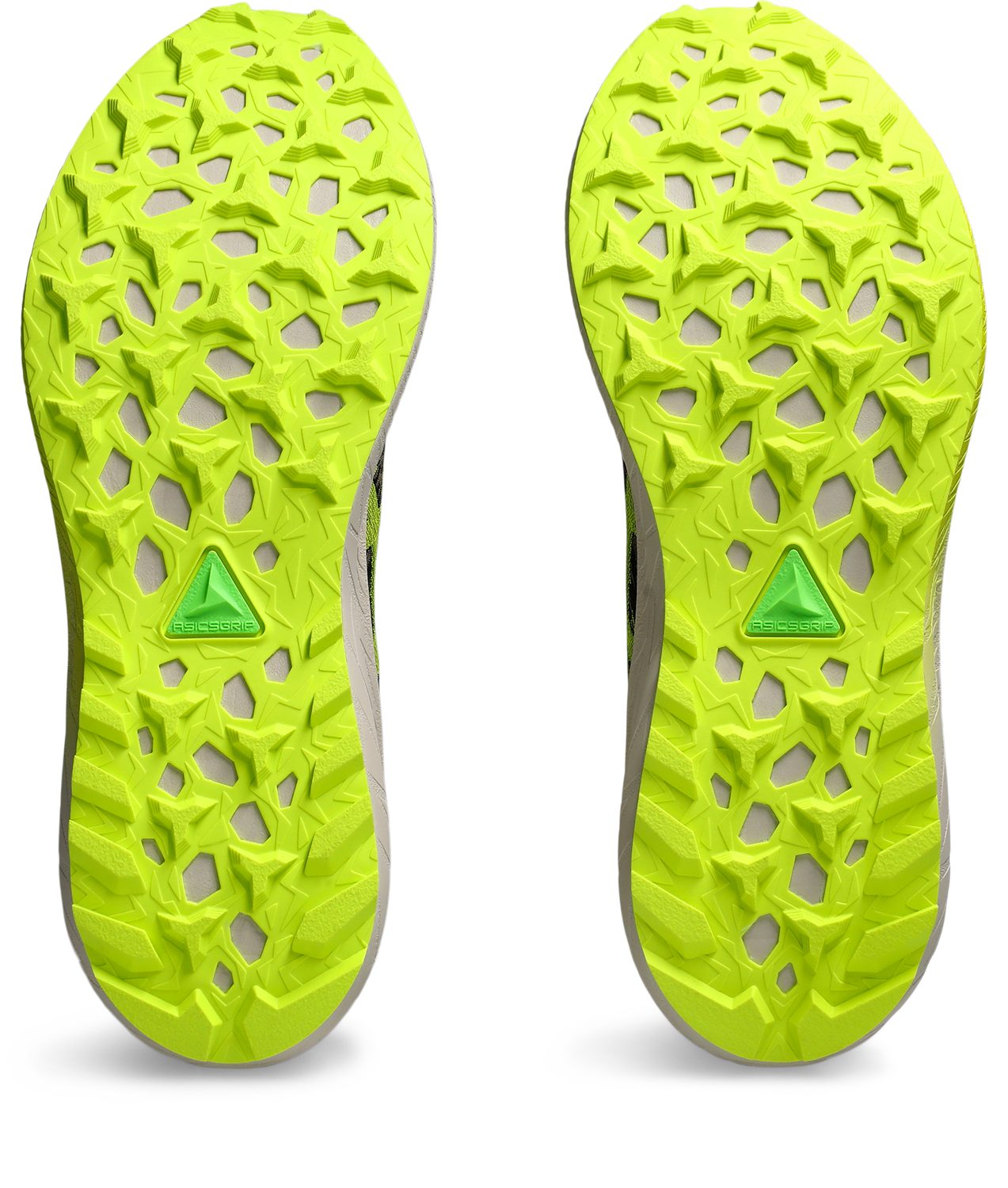 Asics Trailrunningschoenen Fuji Lite 5