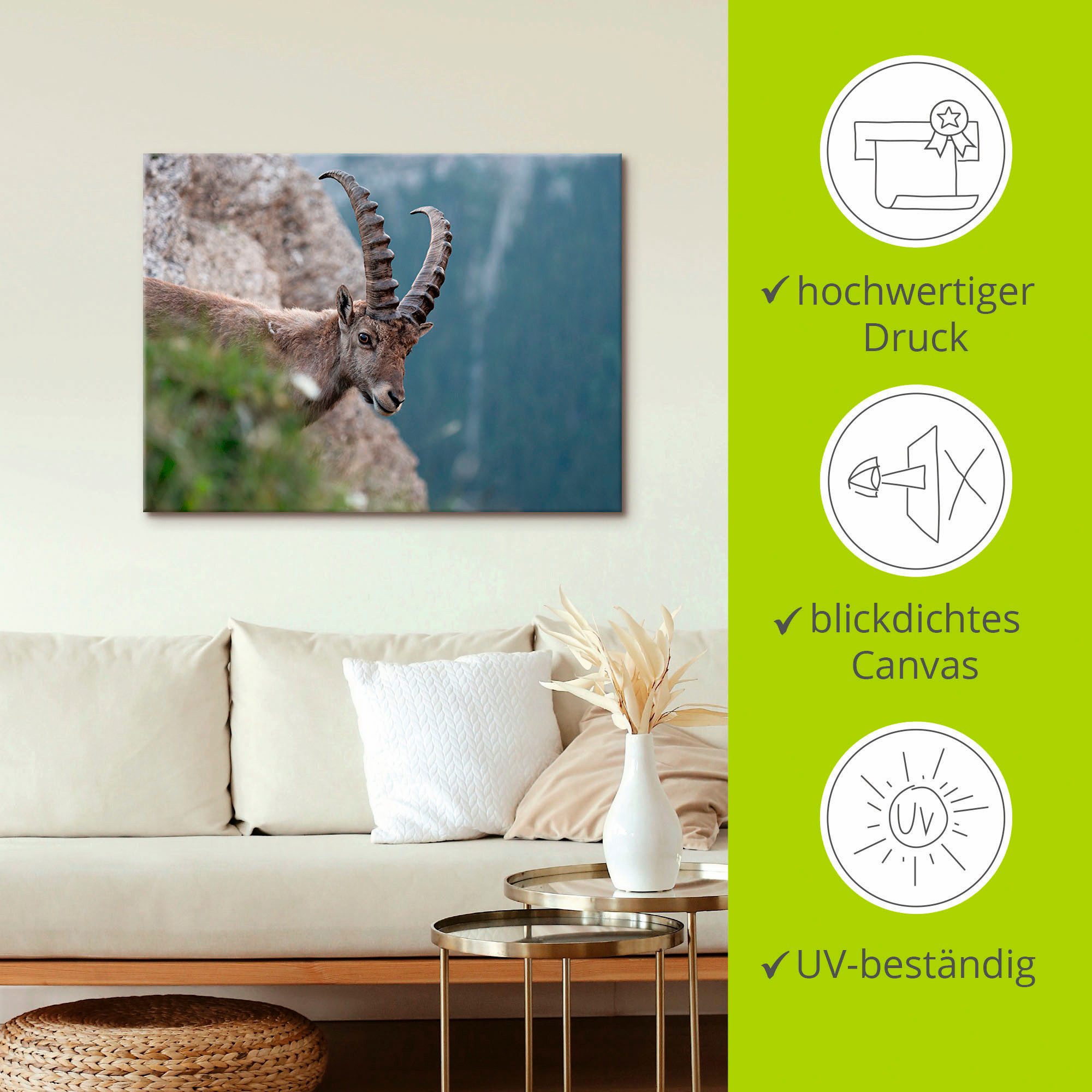 Artland Artprint op linnen Steenbok gespannen op een spieraam