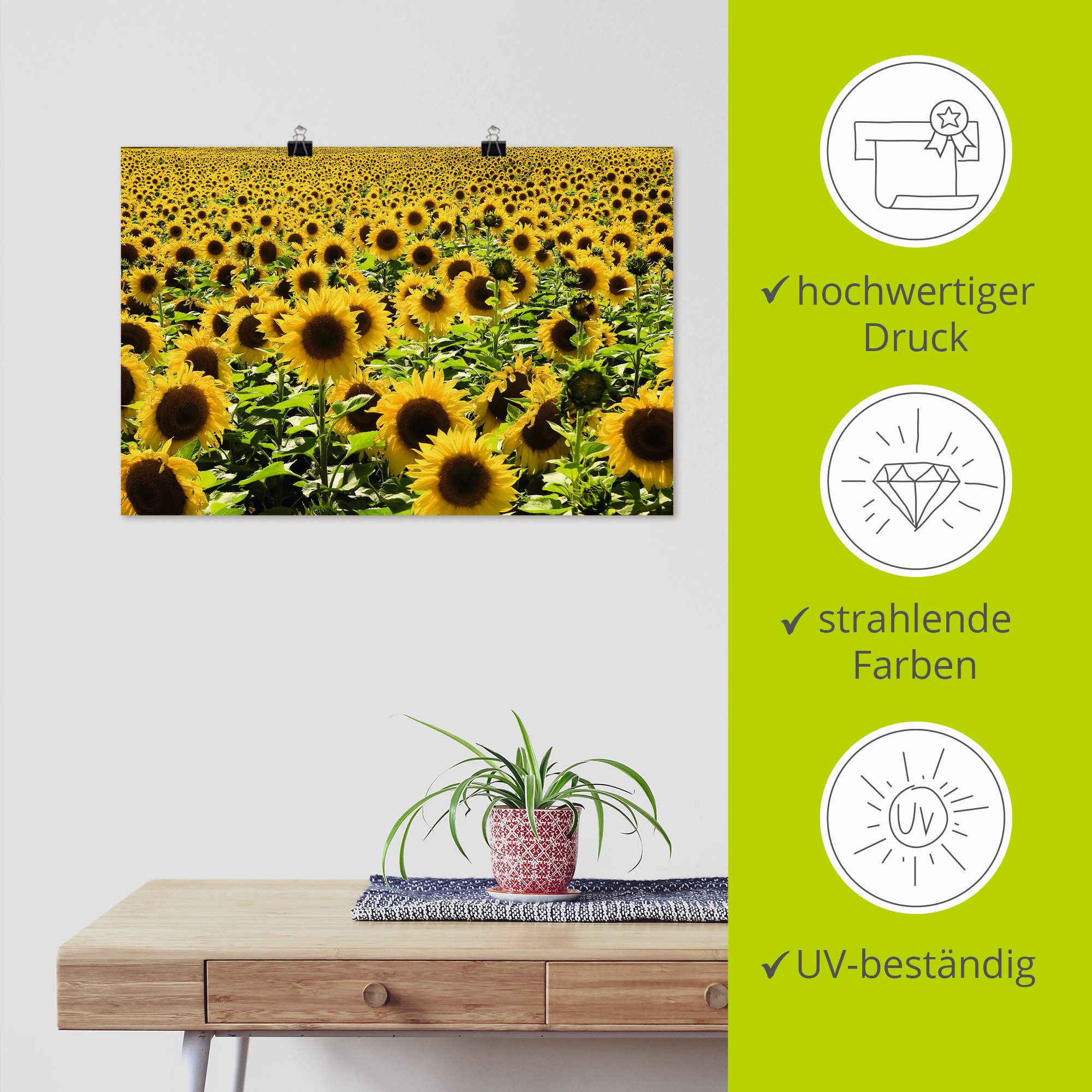 Artland Artprint Zonnebloemveld als artprint van aluminium, artprint voor buiten, artprint op linnen, poster in verschillende maten. maten