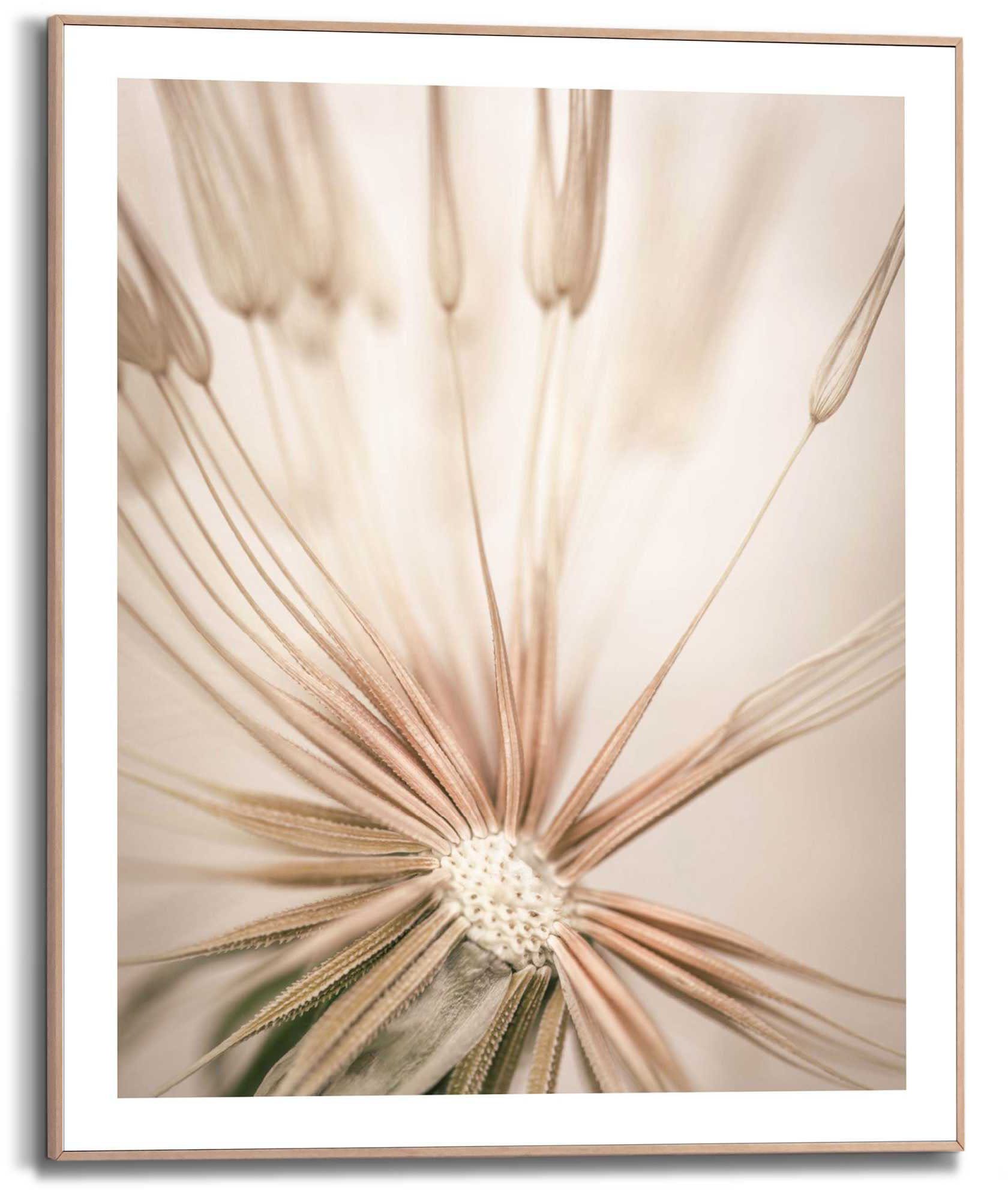 Reinders! Artprint Pluizenbol