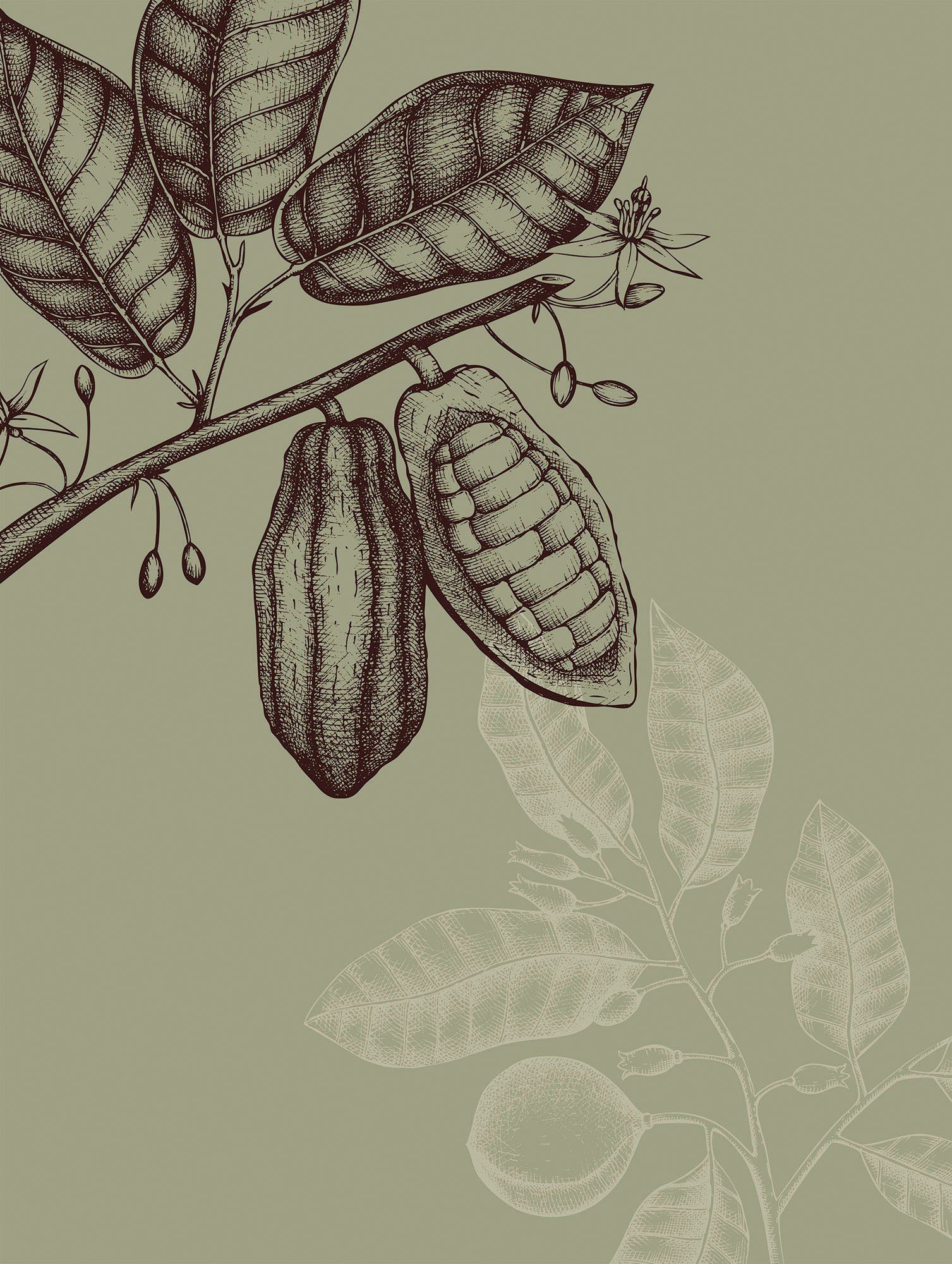 Komar Wanddecoratie Wild Cocoa Wanddecoratie - zonder lijst (1 stuk) foto schilderijen maat 30 cm x 40 cm groen