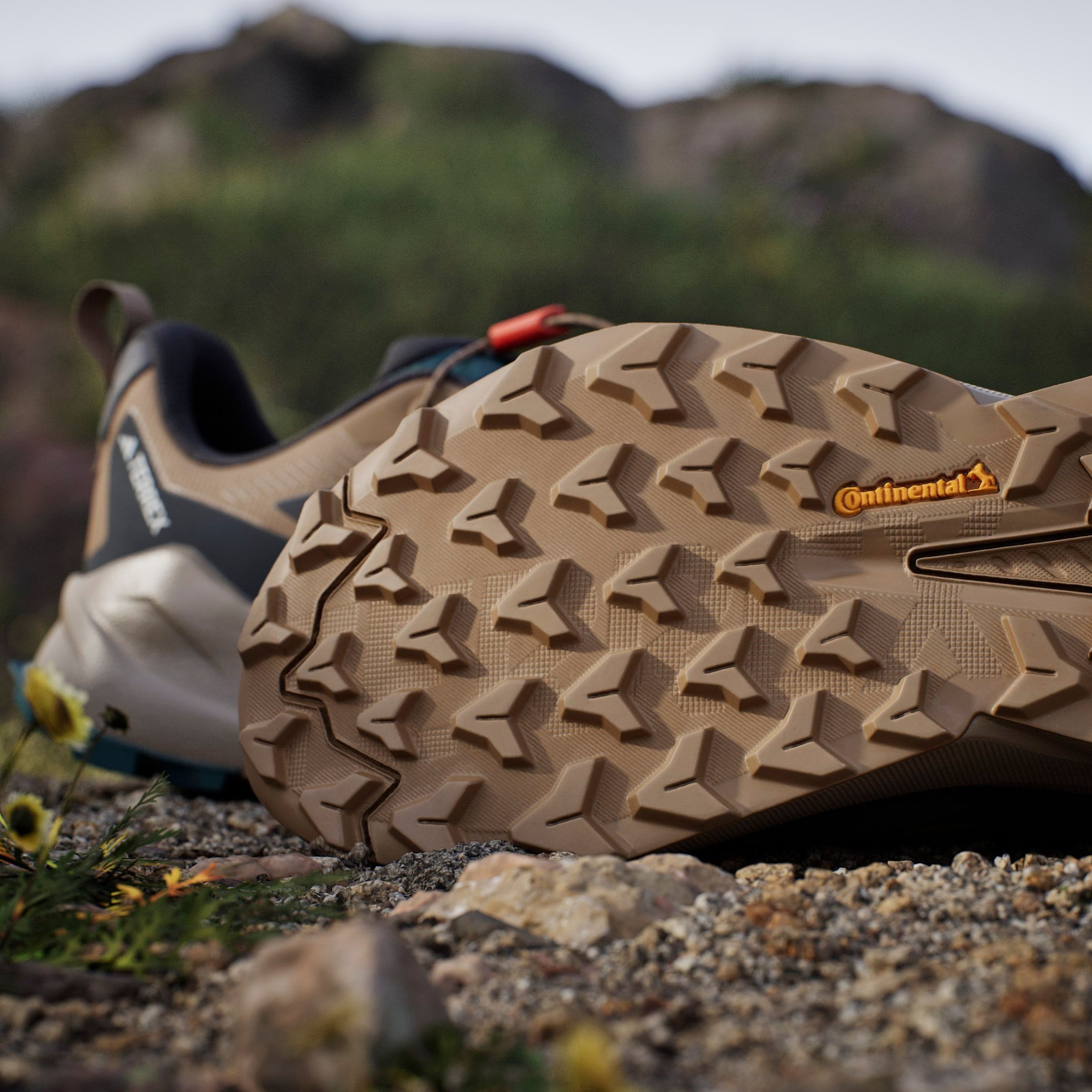 adidas TERREX Wandelschoenen TERREX TRAILMAKER 2 GORE-TEX SPEED LACE