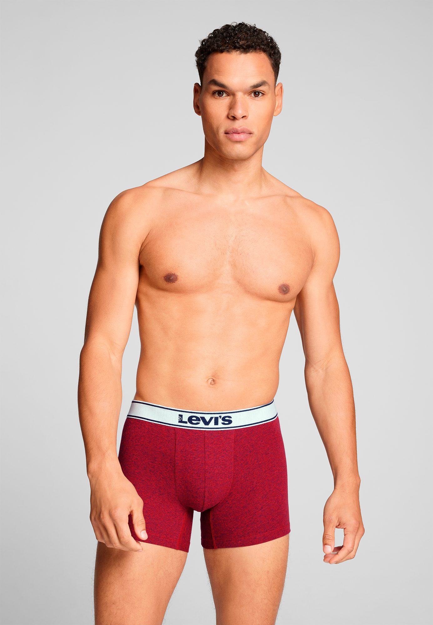 Levi's® Boxershort LEVIS MEN VNTG HTR BOXER BRIEF ORG CO 2P (2 stuks, Set van 2)