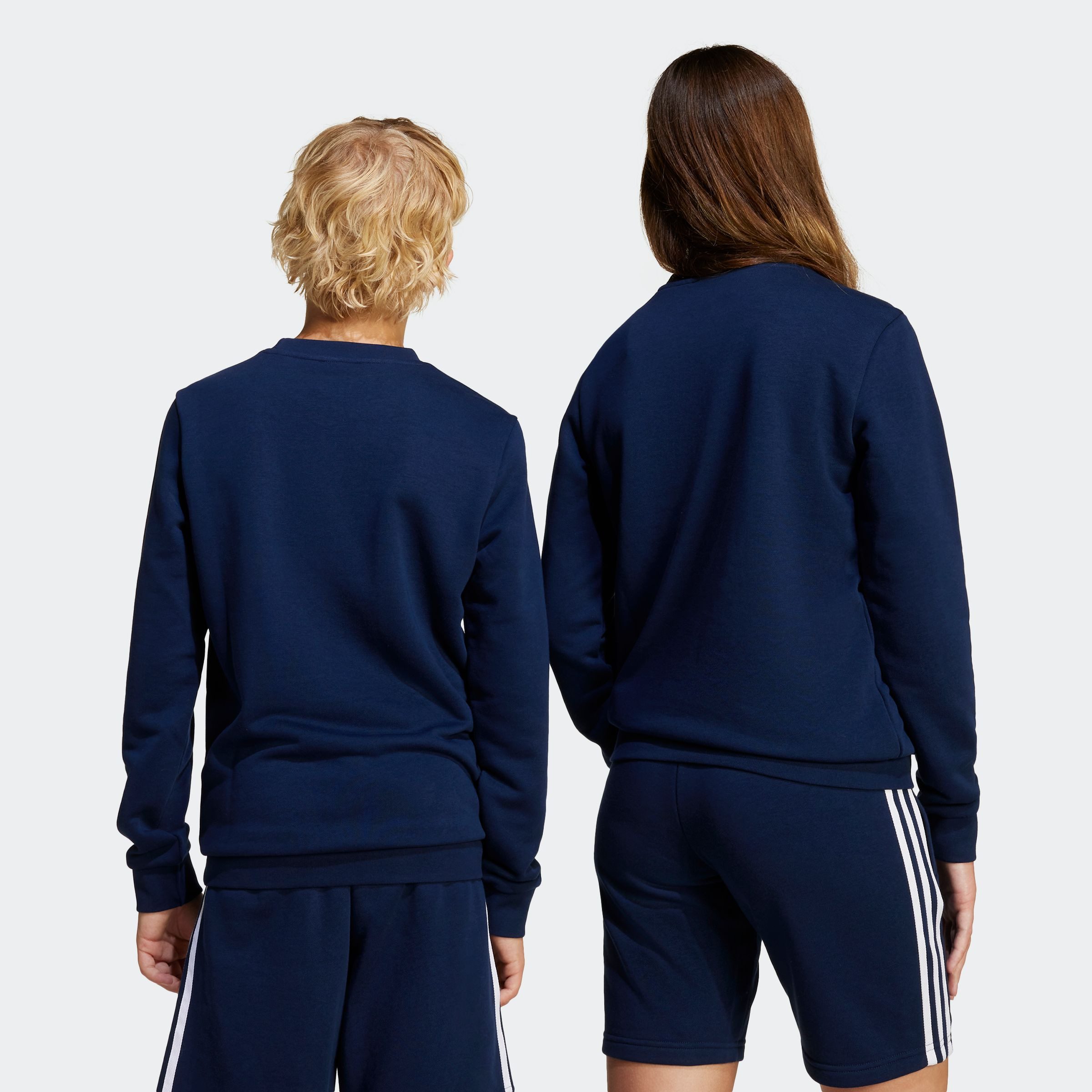 adidas Originals Sweatshirt TREFOIL CREW