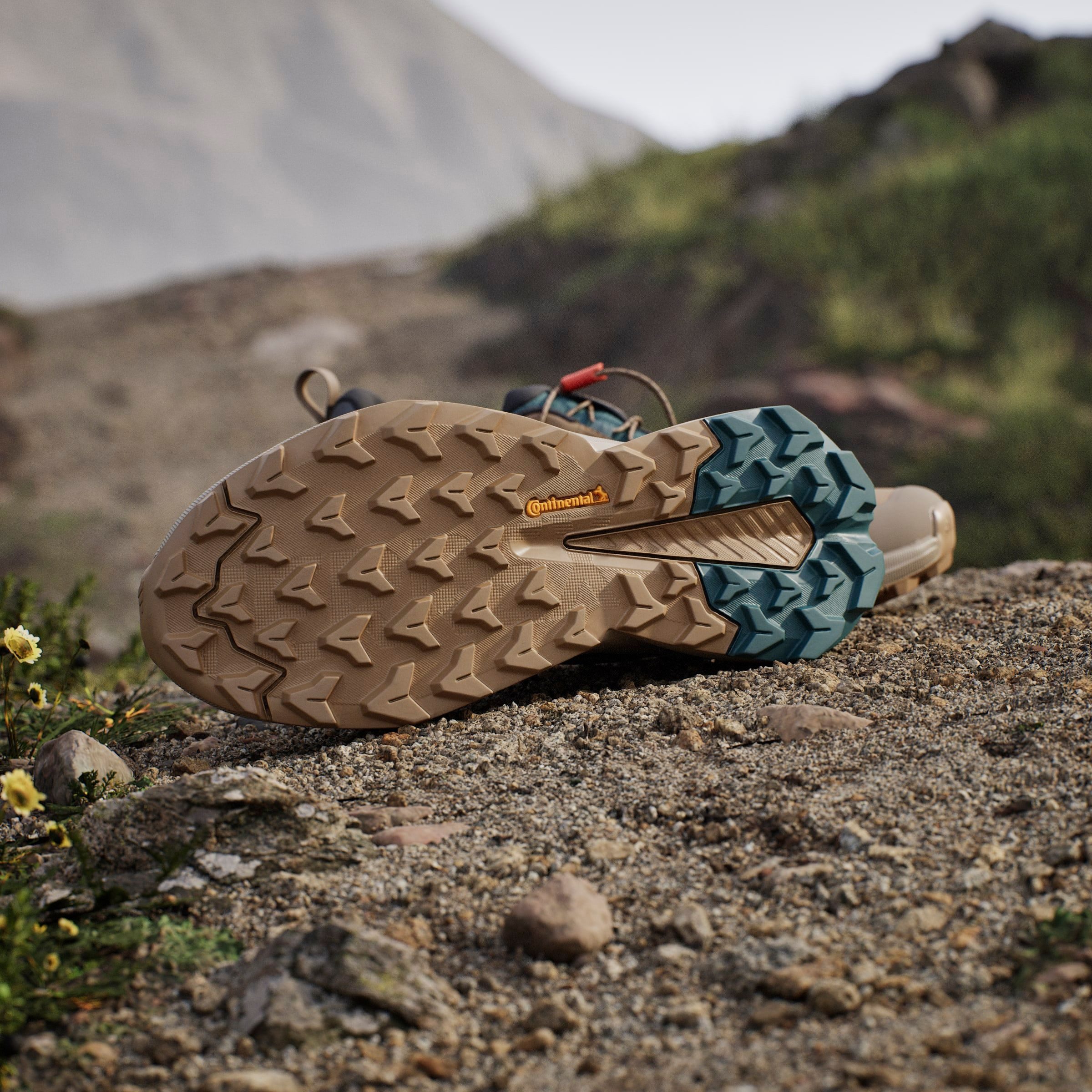 adidas TERREX Wandelschoenen TERREX TRAILMAKER 2 GORE-TEX SPEED LACE