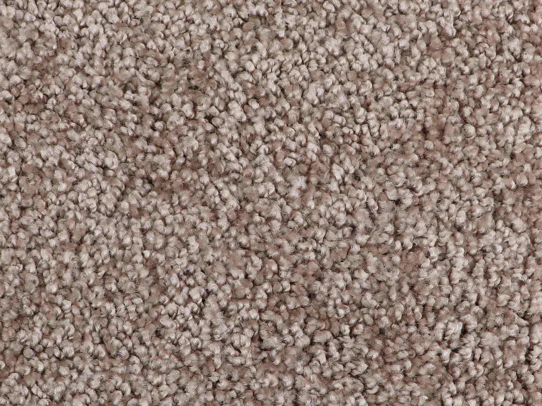 Primaflor-Ideen in Textil Vloerkleed MUMBAI zachte korte pool, unikleurig, ideaal in de woonkamer & slaapkamer