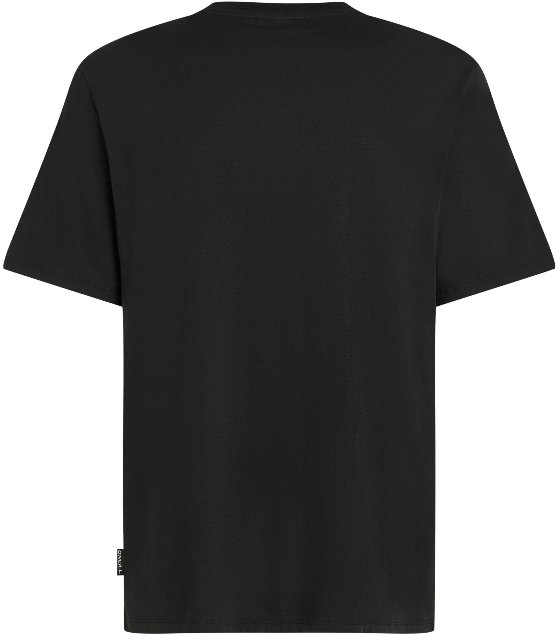 O'Neill T-shirt O'NEILL GRAPHIC T-SHIRT (1-delig)