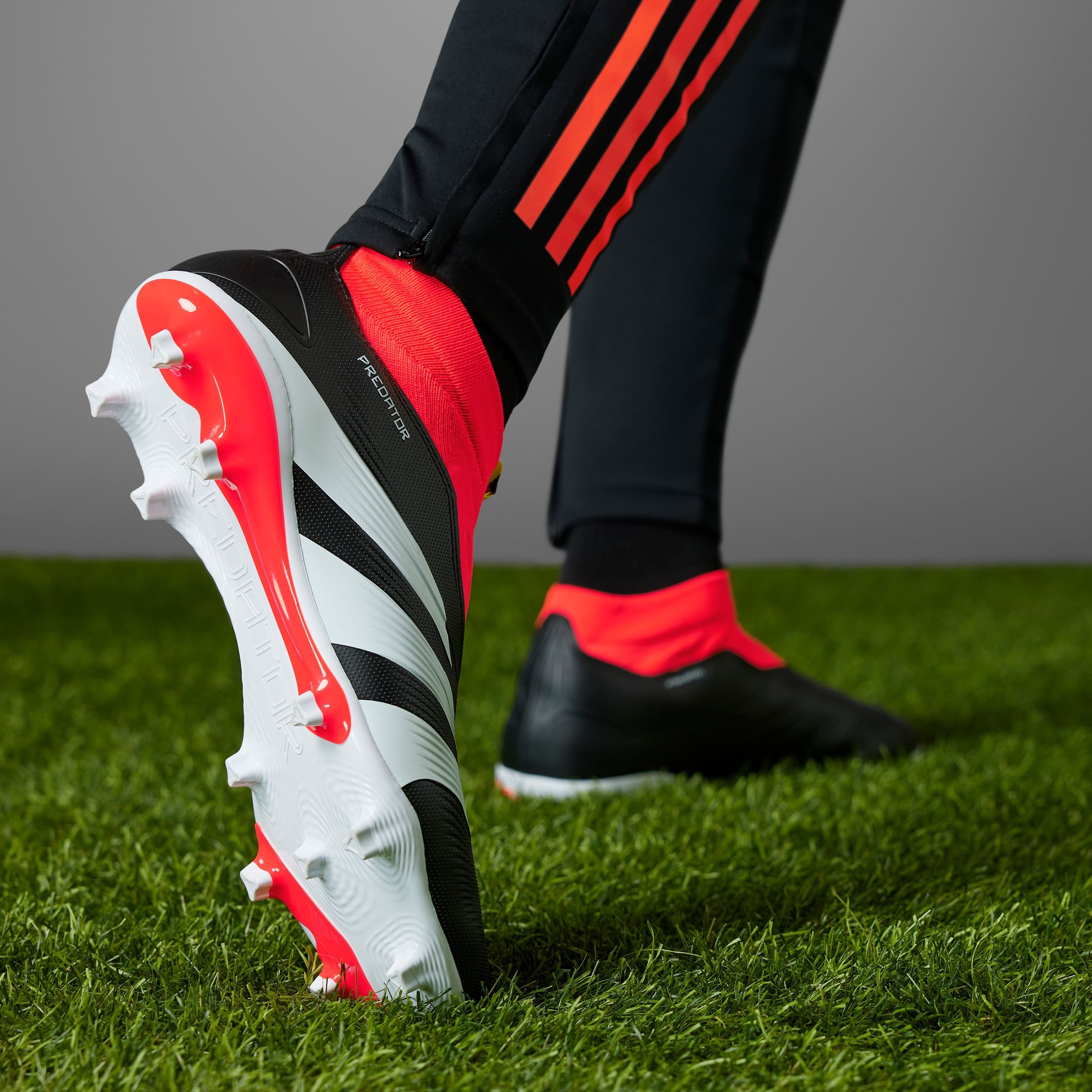adidas Performance Voetbalschoenen PREDATOR LEAGUE LACELESS FG