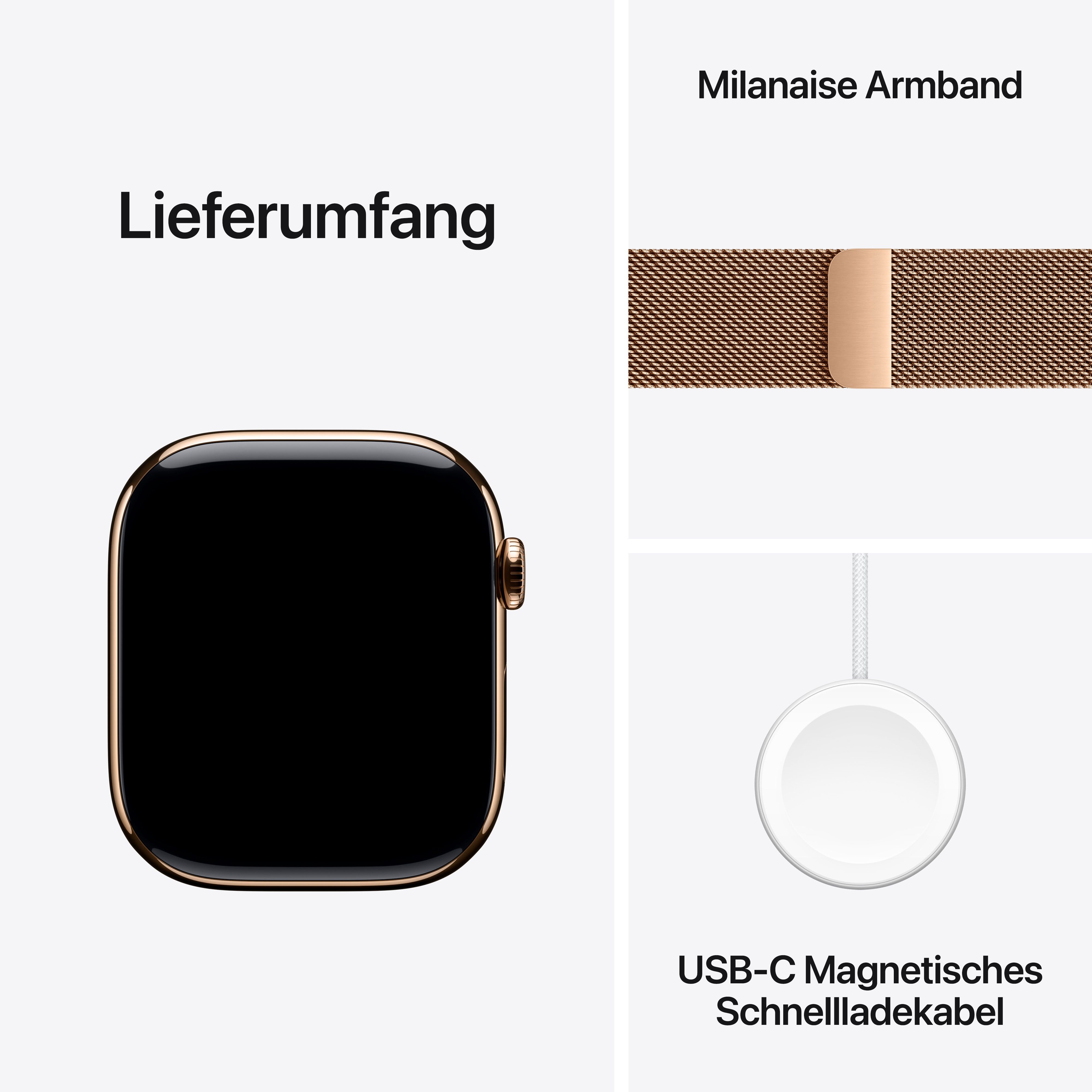 Apple Smartwatch Watch 10 Titan