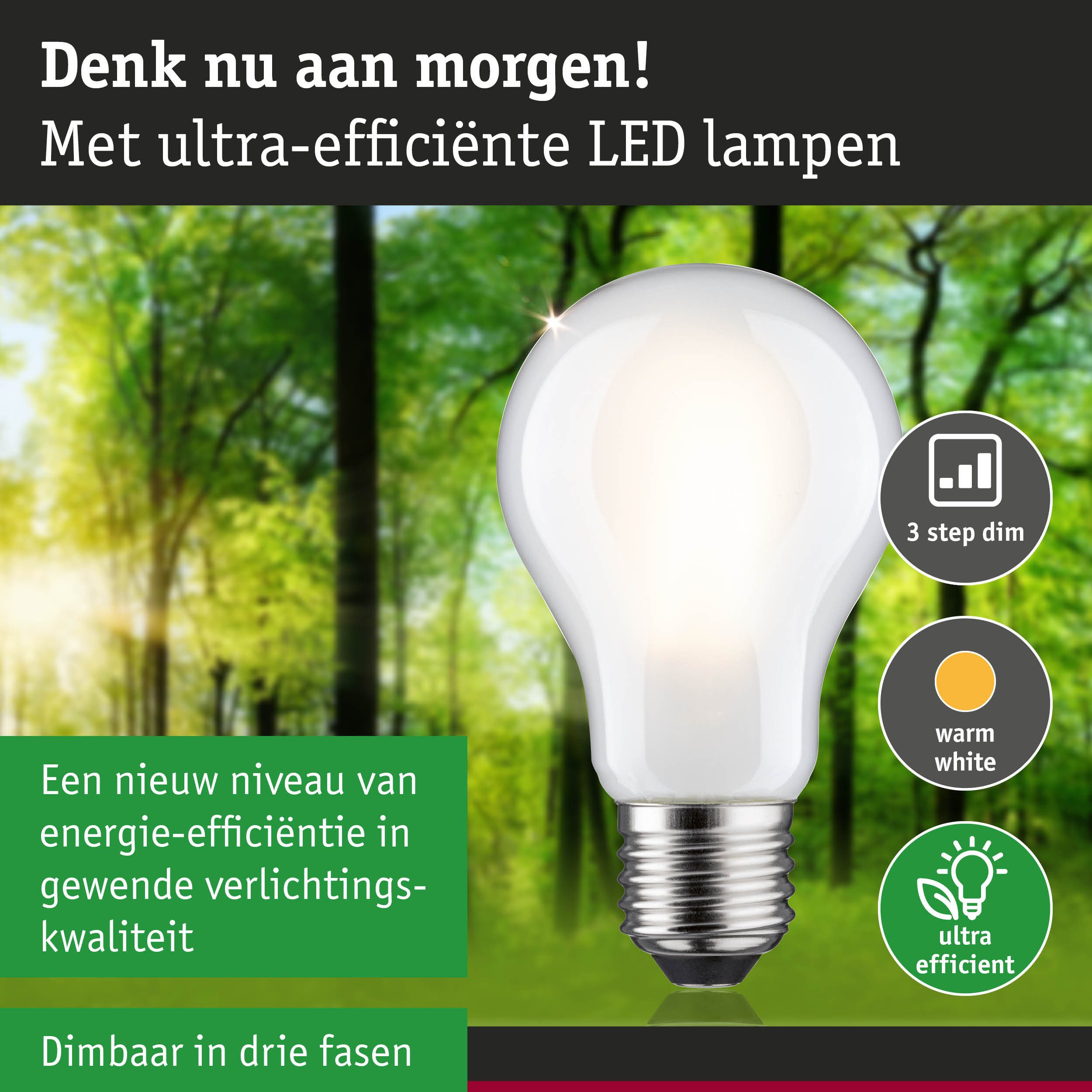 Paulmann Led-verlichting Eco-Line filament 230V LED-lamp E27 1055lm 5,7W 3000K dimbaar mat (1 stuk)