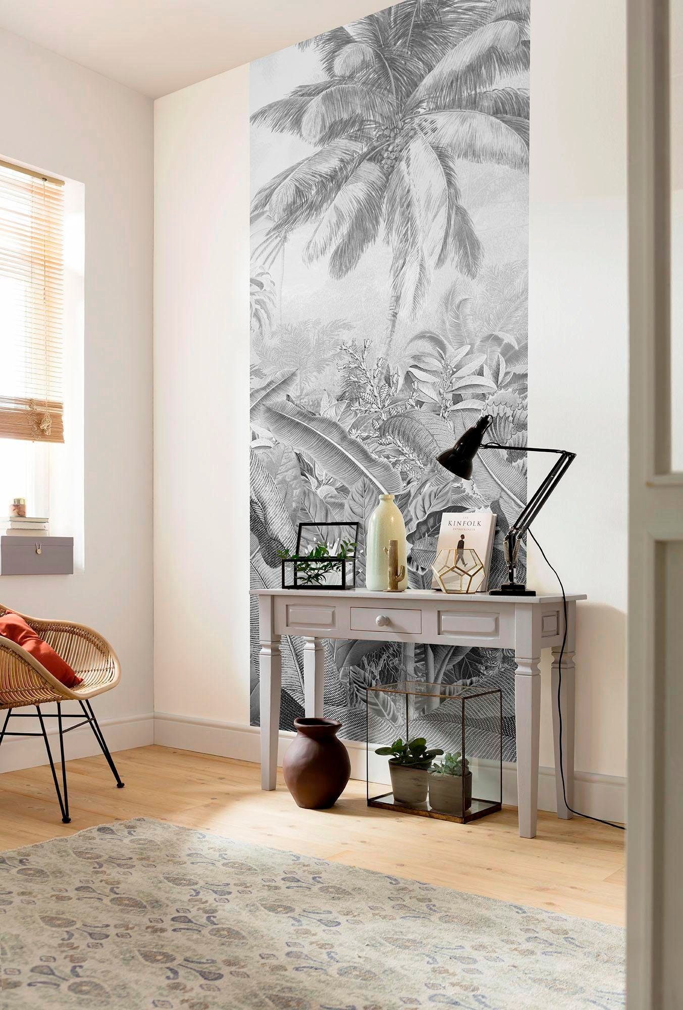Komar Vliesbehang Amazonia black Woonkamer, slaapkamer (1 stuk)