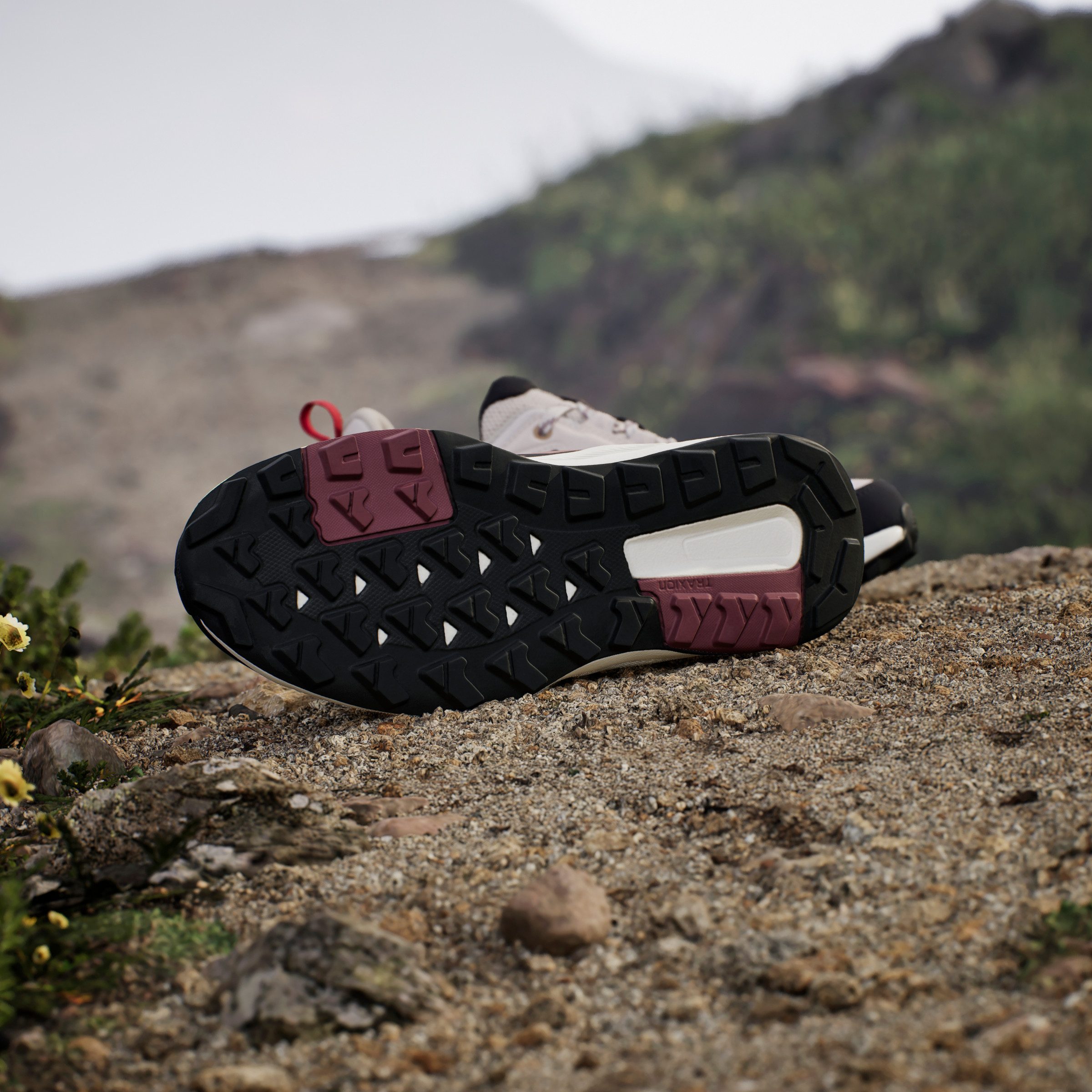 adidas TERREX Wandelschoenen TERREX ANYLANDER