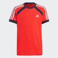 adidas performance t-shirt comfort colorblock rood