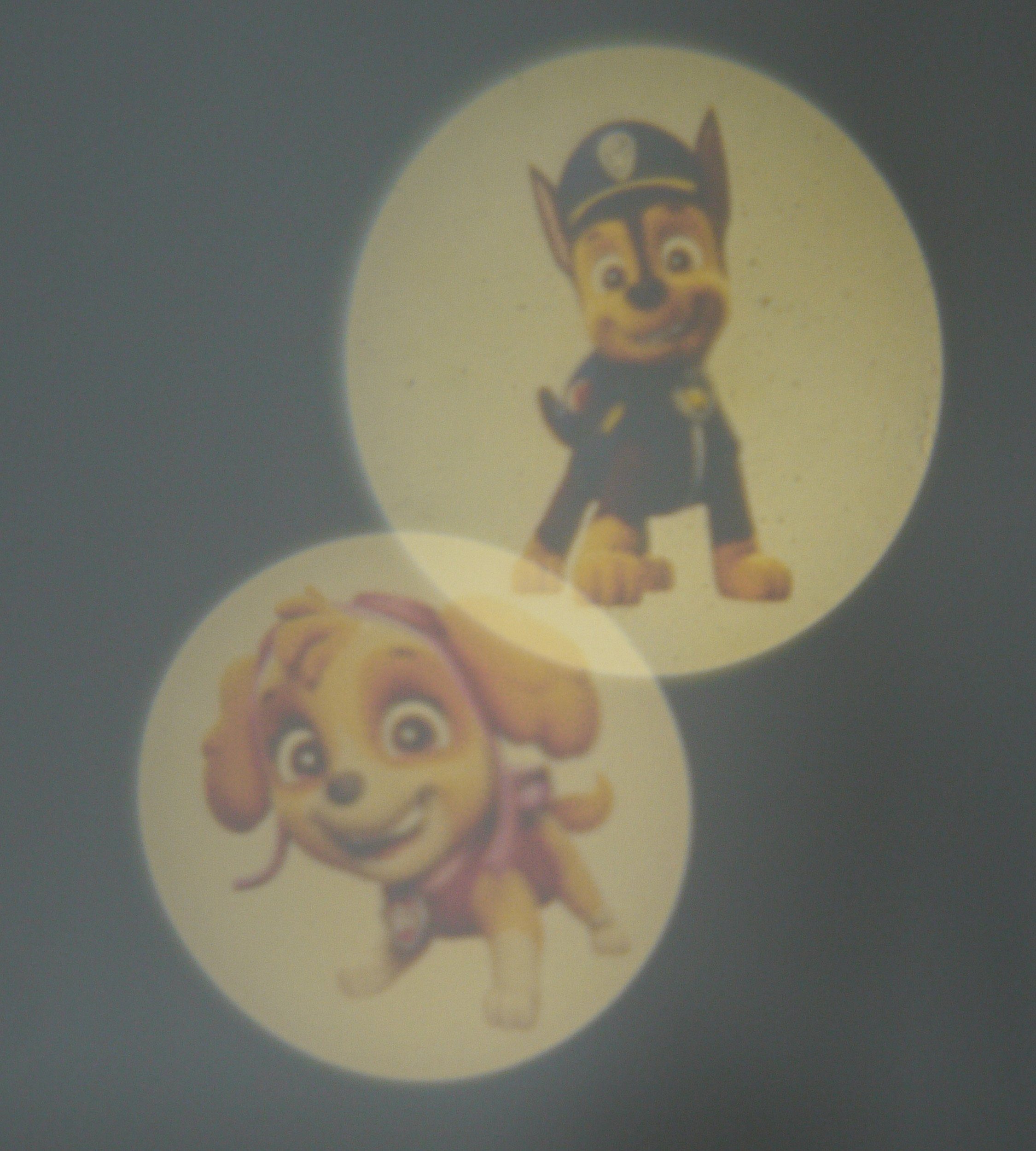 niermann Lednachtlampje Paw Patrol Set Paw Patrol 2 (1 x stekker-nachtlicht, 1 x draagbare beamer) (1 stuk)