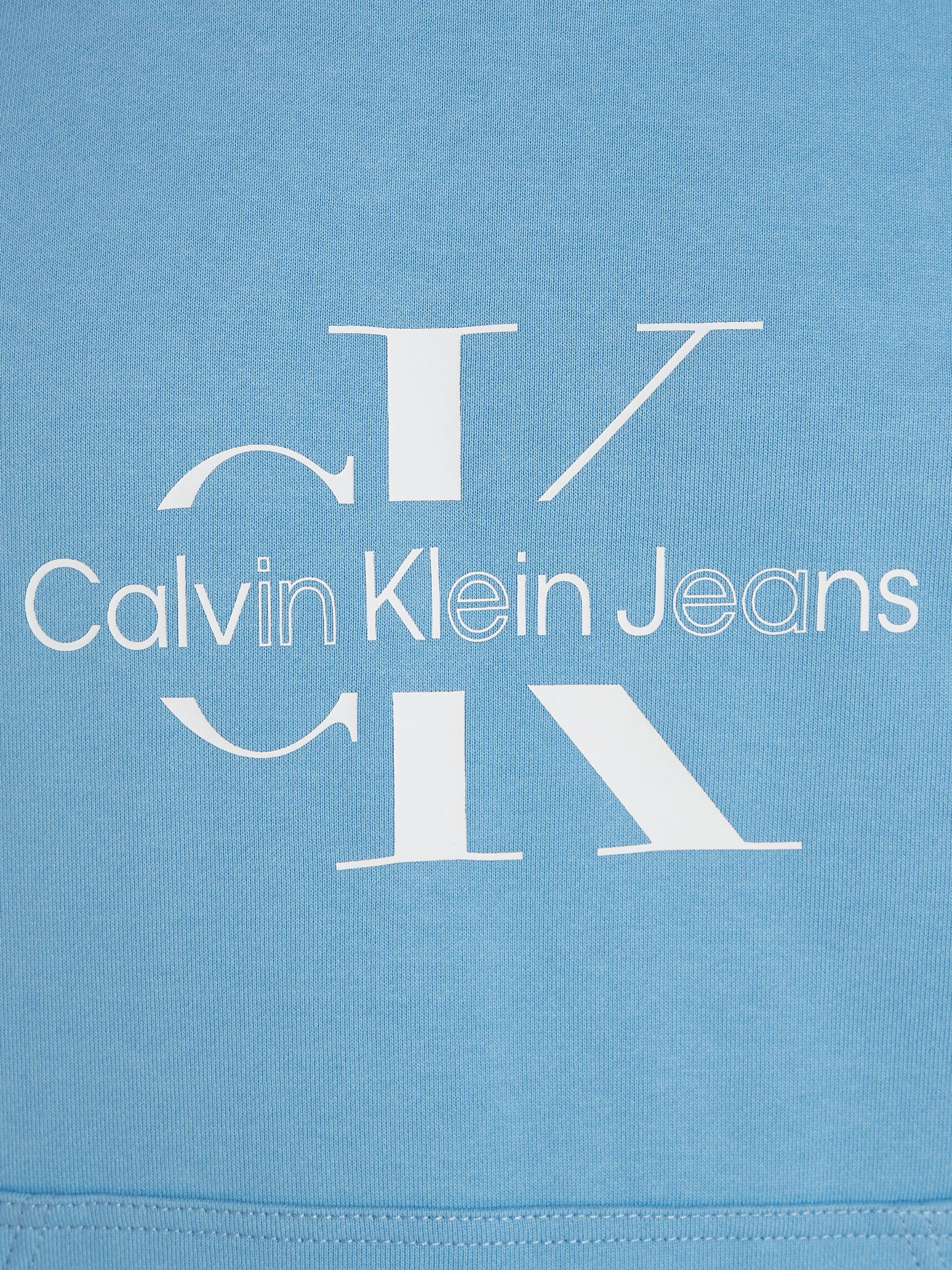 Calvin Klein Hoodie DISRUPTED OUTLINE MONOLOGO HOODY