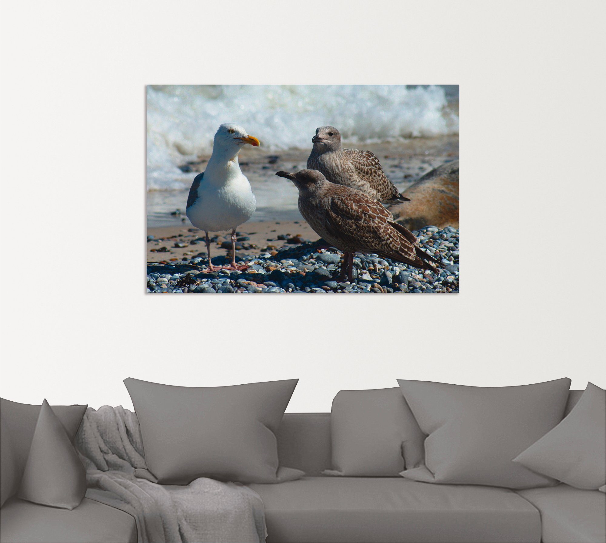 Artland Artprint Meeuwen op het Noordzeestrand als artprint van aluminium, artprint op linnen, muursticker of poster in verschillende maten