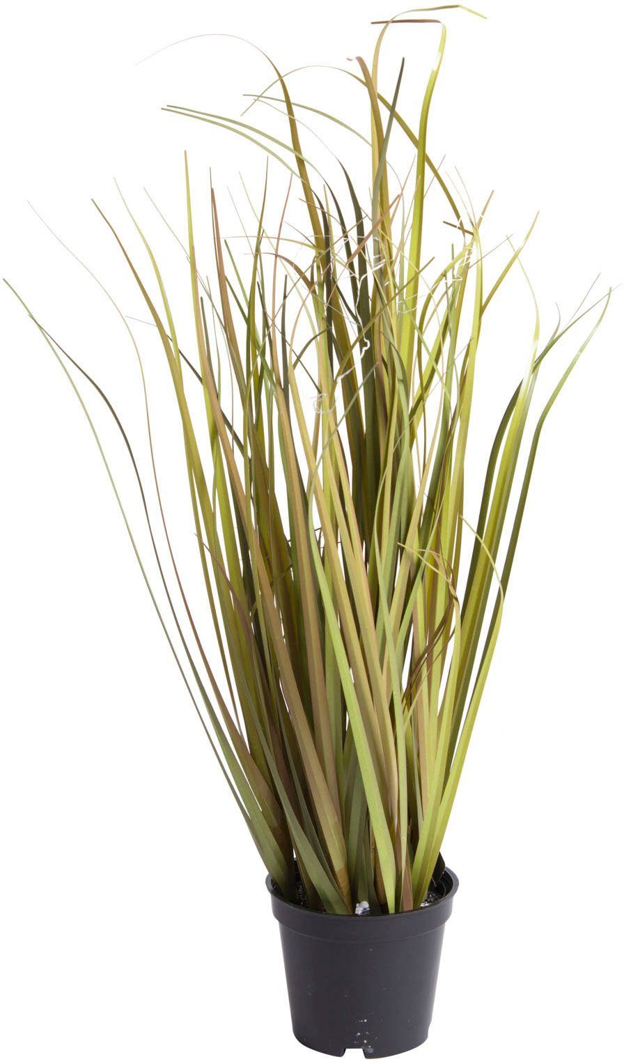 Botanic-Haus Kunstgras Grasarrangement (set, 2 stuks)