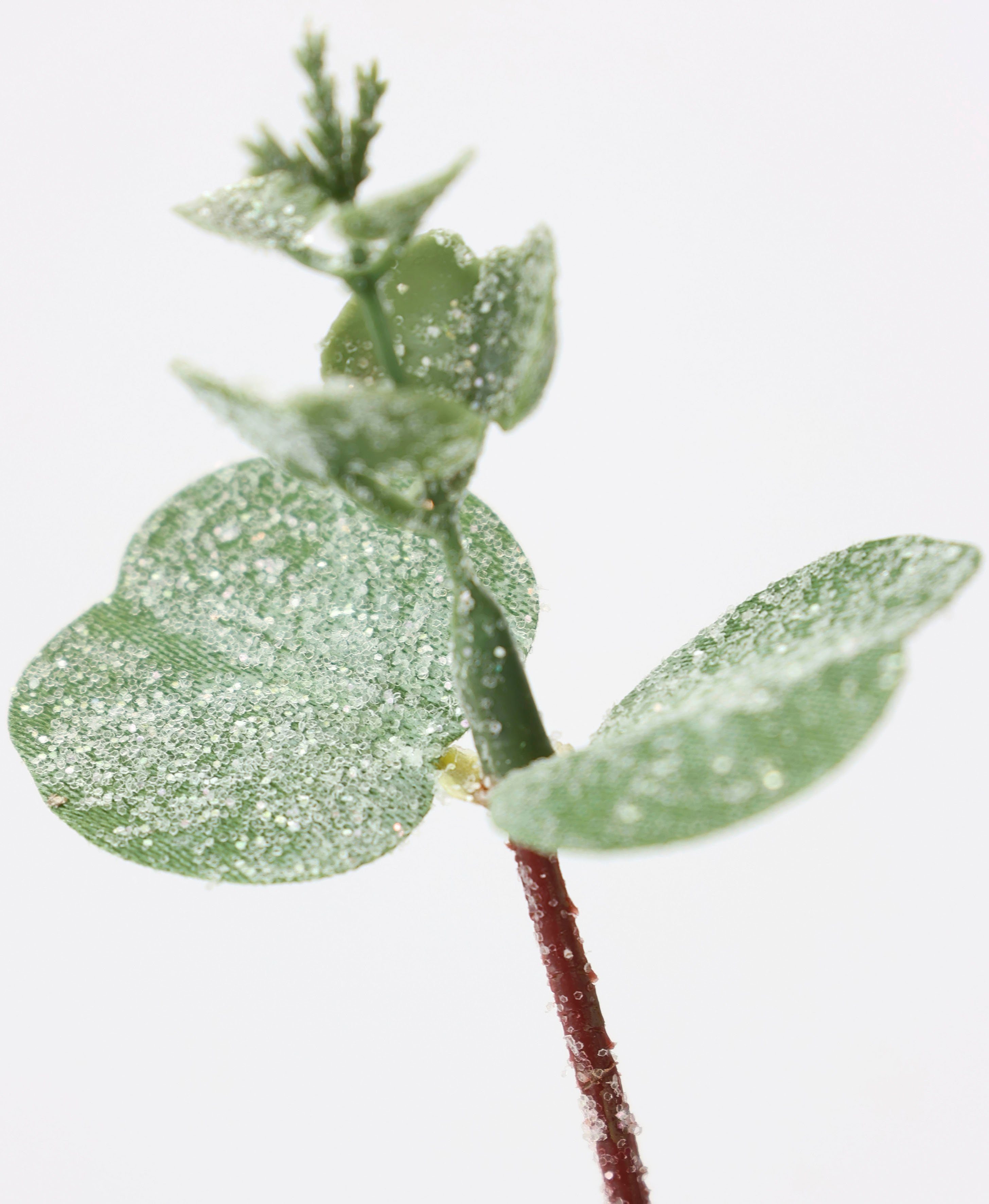 I.GE.A. Winterse kunstplant Kunsttak, eucalyptus tak, kerstdecoratie(set, 2 stuks)