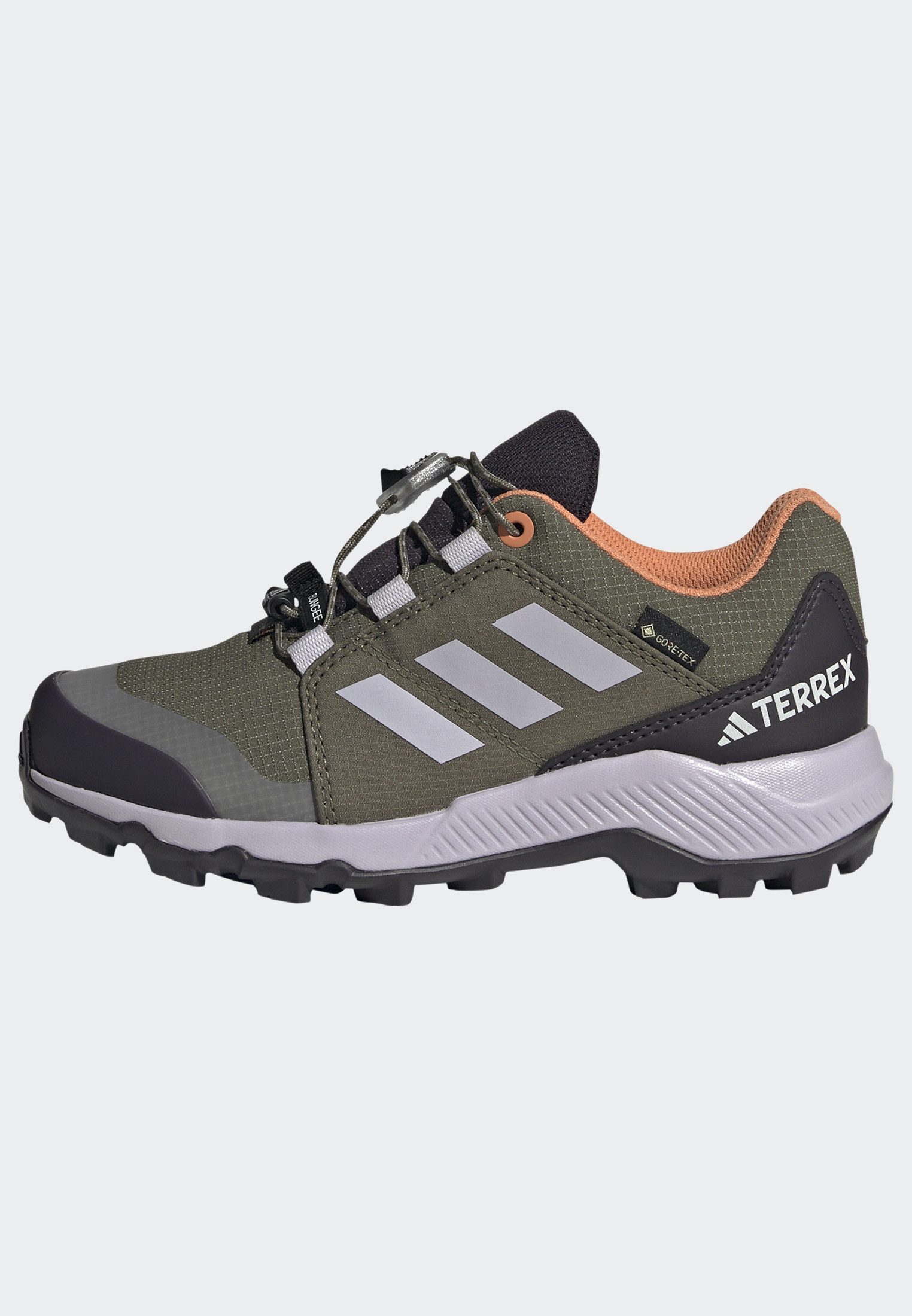 adidas TERREX Wandelschoenen TERREX GORE-TEX