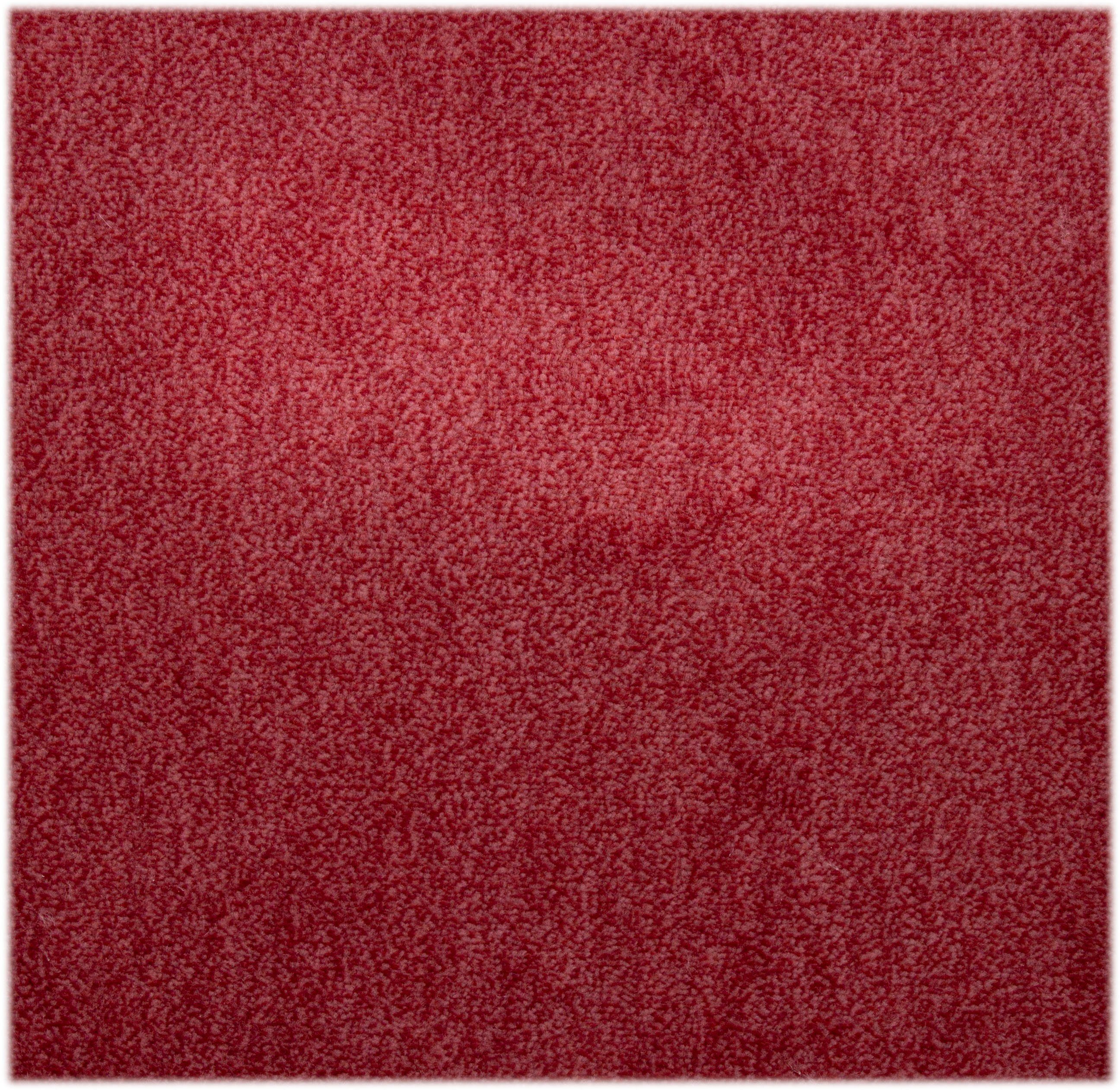 Andiamo Tapijt Catania, velours, Made in Belgium gemêleerd, breedte 400 cm of 500 cm, slijtvast & onderhoudsvriendelijk (1 stuk)