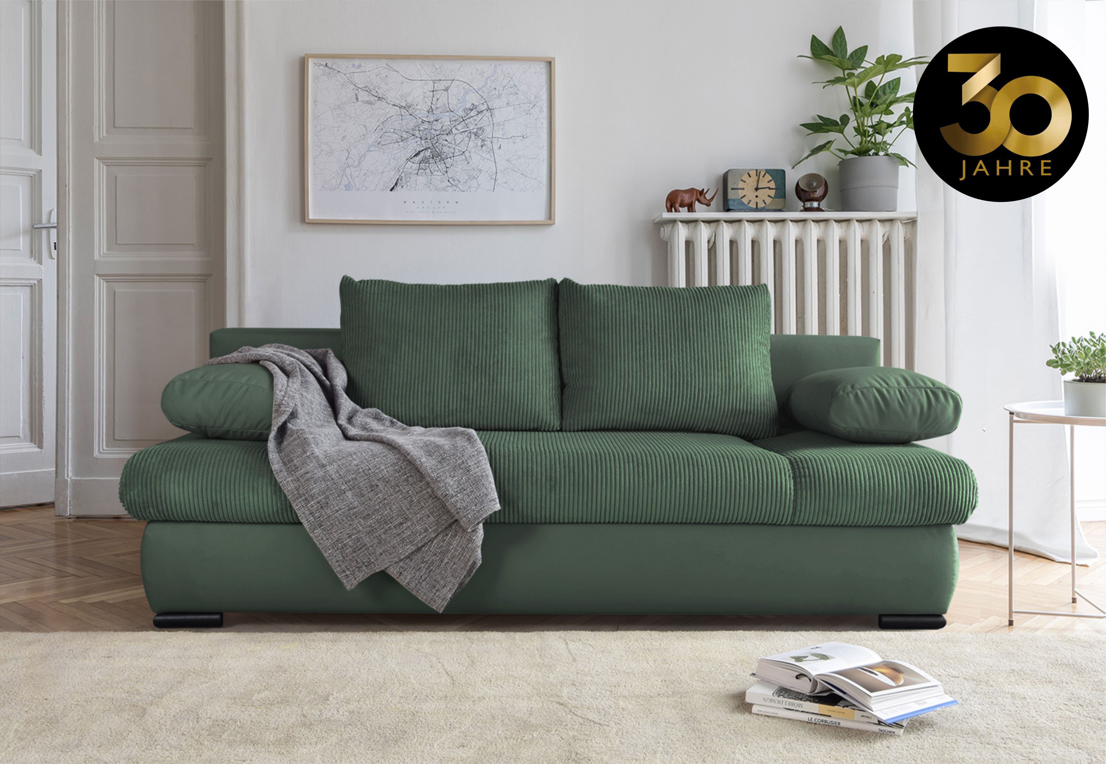 COLLECTION AB Slaapbank Chicago met slaapbank functie en bedbox, in mix van fluweel en ribfluweel