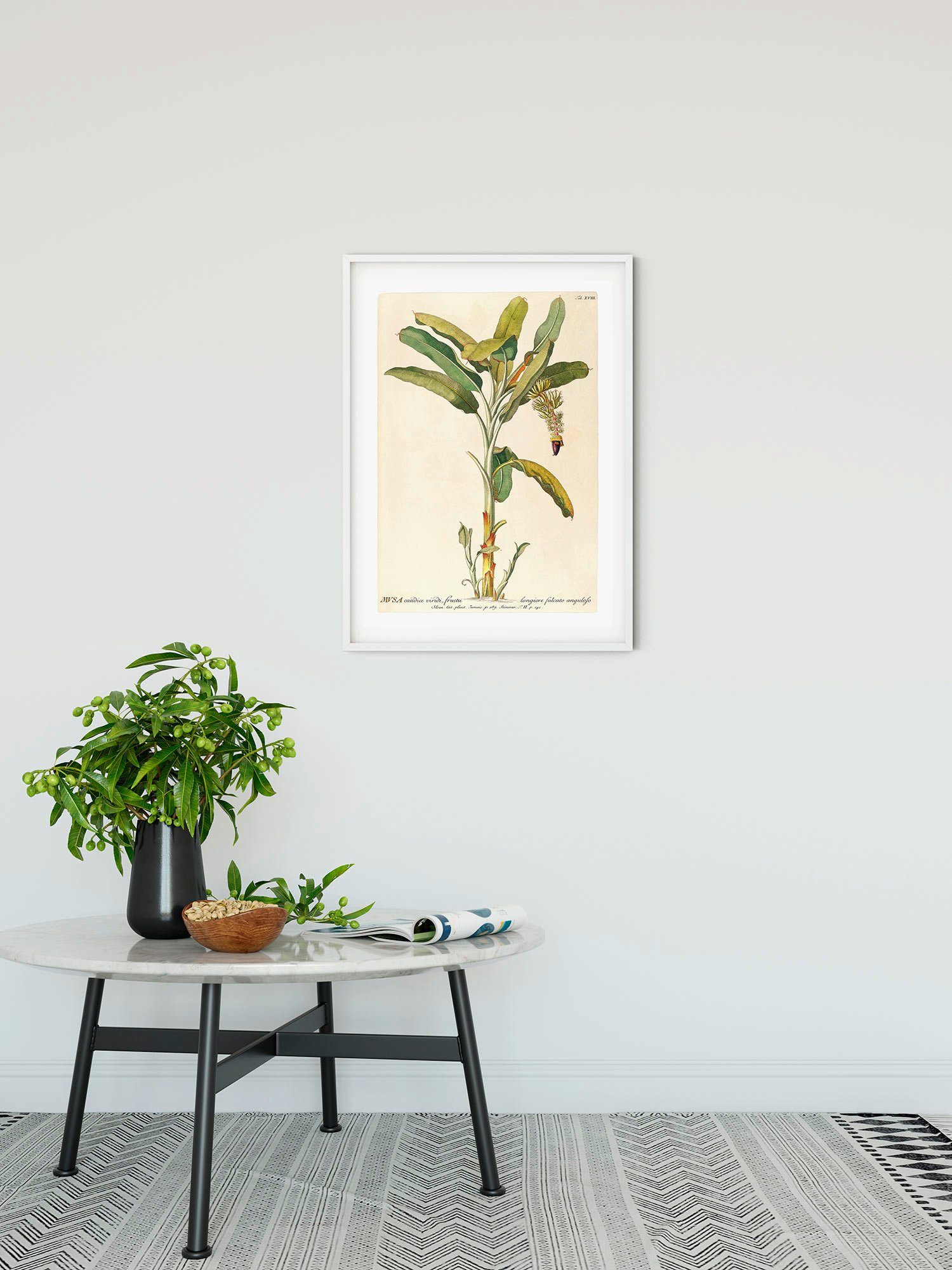 Komar Wanddecoratie Rainforest Sapling Wanddecoratie - zonder lijst (1 stuk)