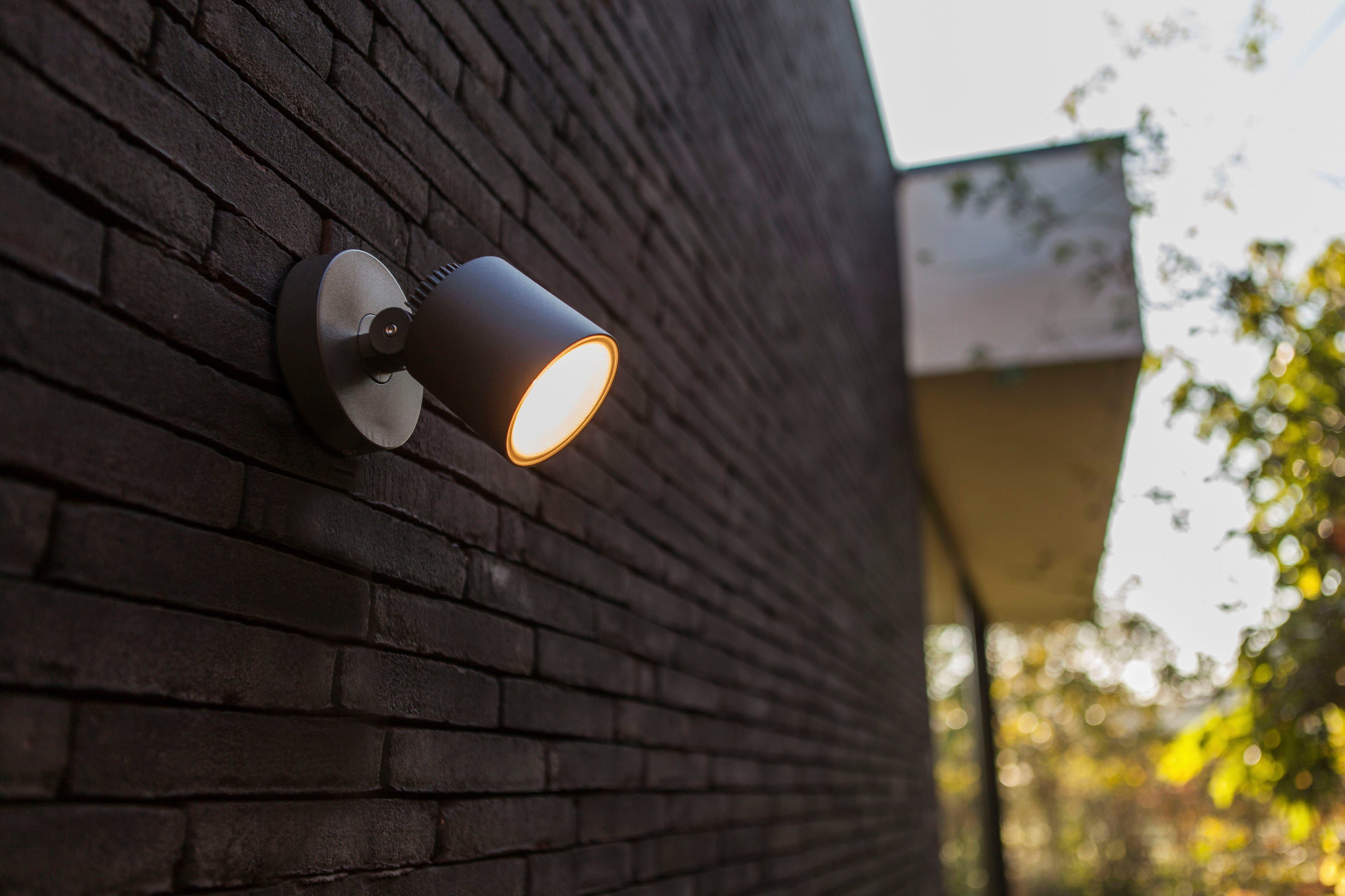 LUTEC Ledwandlamp voor buiten Explorer (1 stuk)