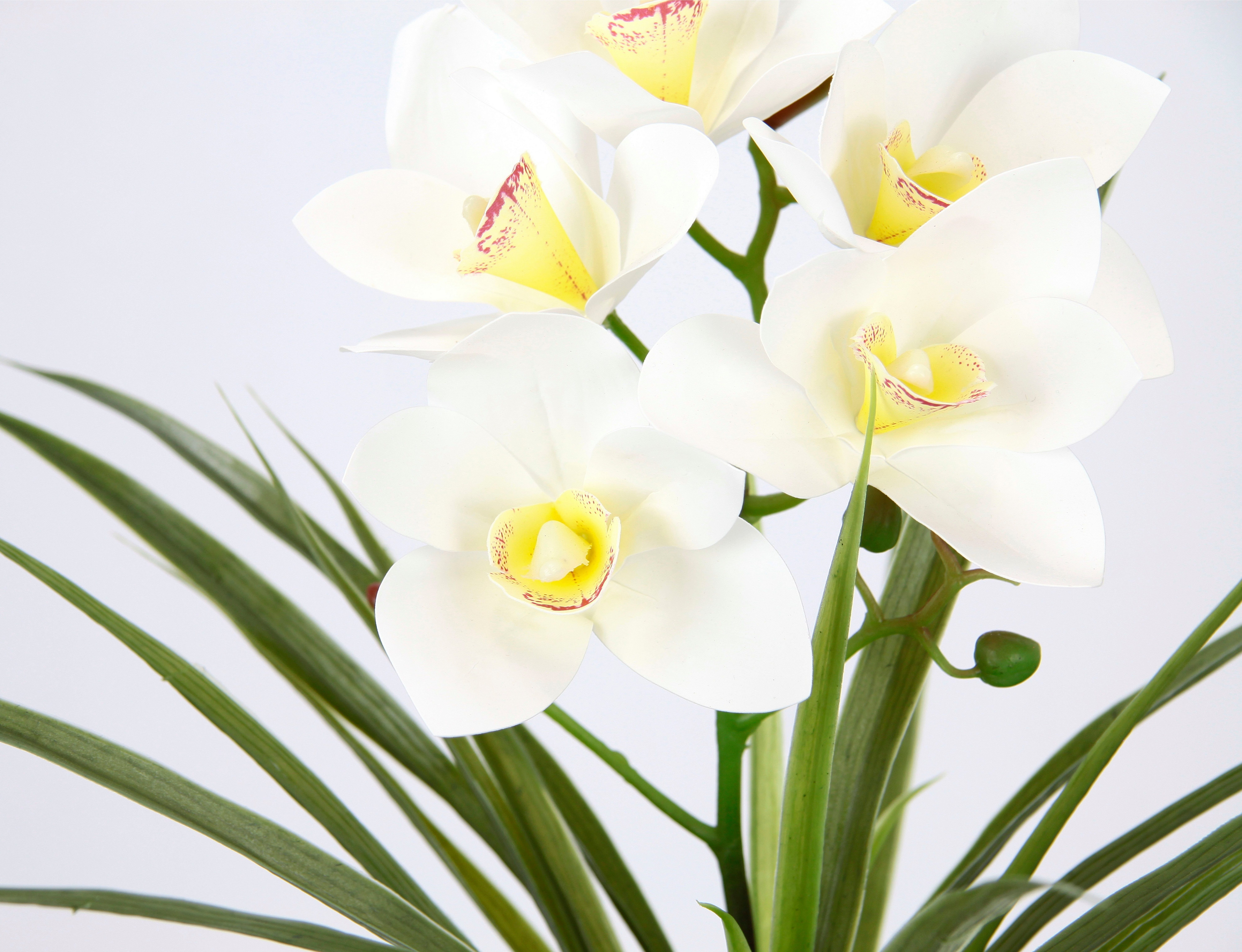 my home Kunstbloem Orchidee Met bladeren in pot van cement, kunstbloem Cymbidium-orchidee (1 stuk)