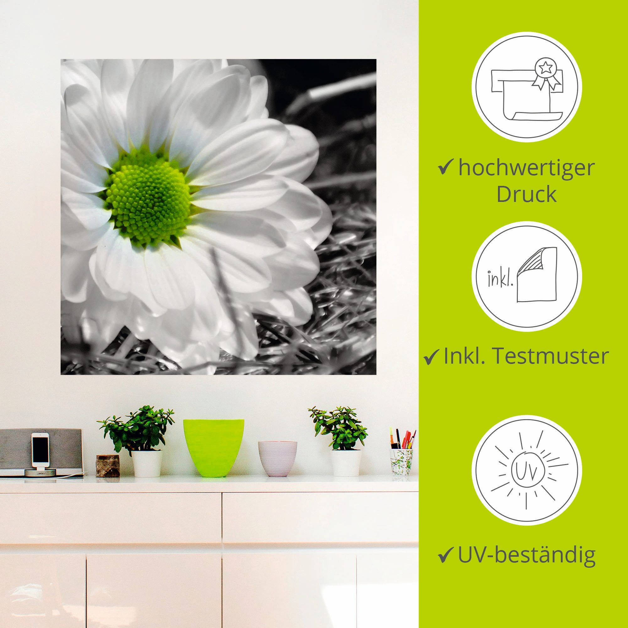 Artland Artprint Witte bloem als artprint op linnen, muursticker in verschillende maten