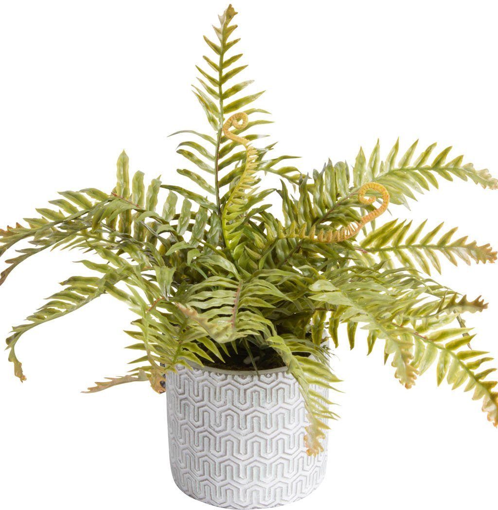 Botanic-Haus Kunst-potplanten Varen in cementen pot (1 stuk) kunstplanten groen