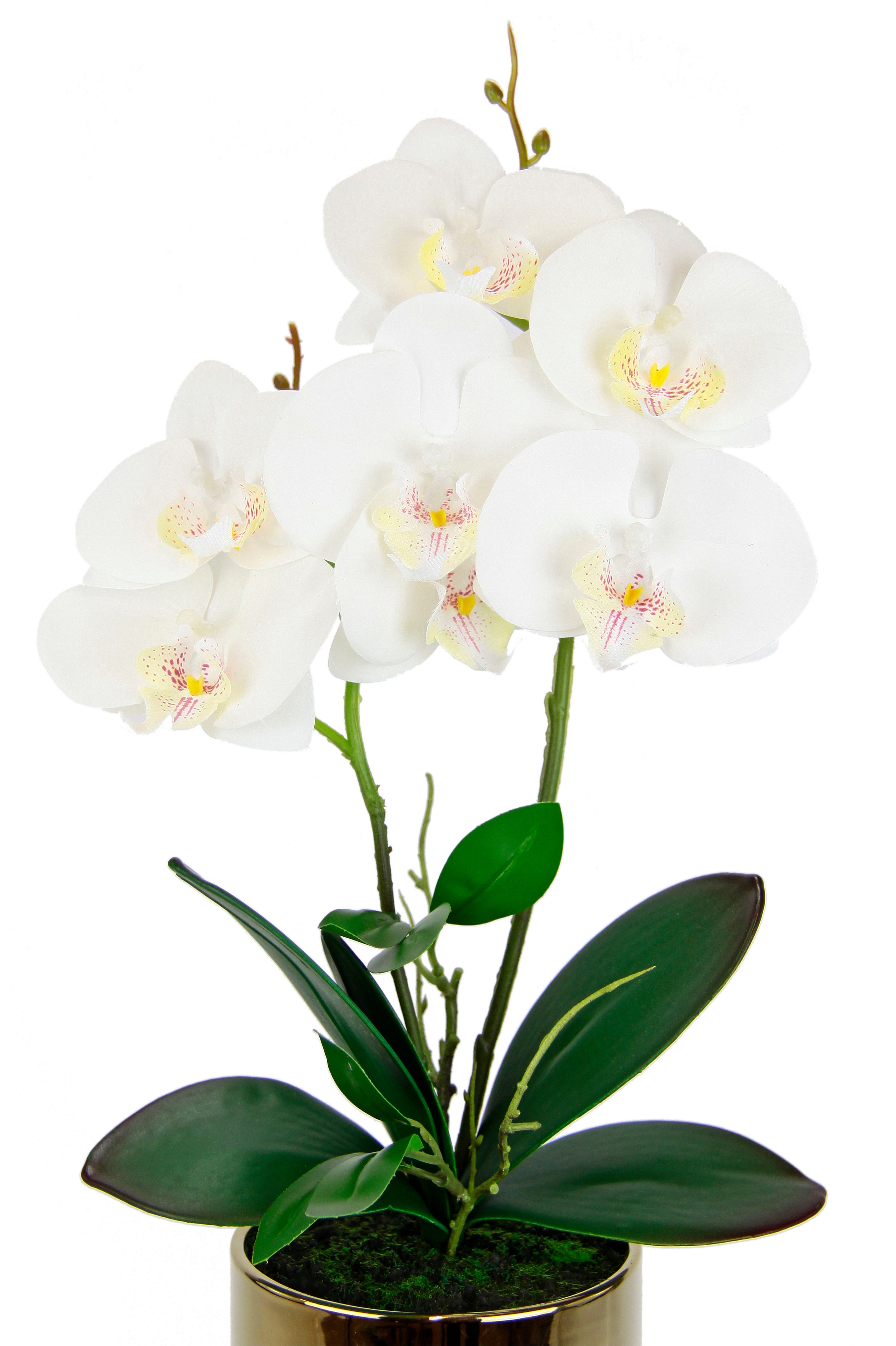 I.GE.A. Kunstbloem Orchidee (1 stuk)