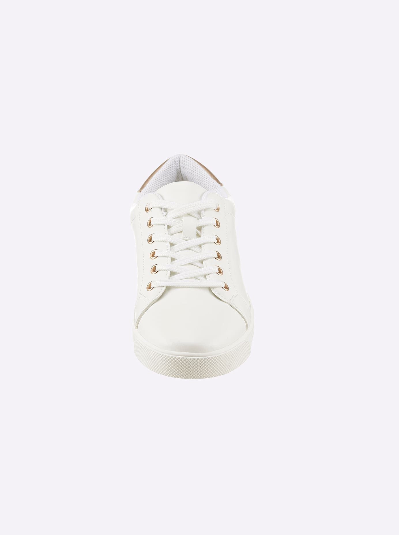 Casual Looks Sneakers
