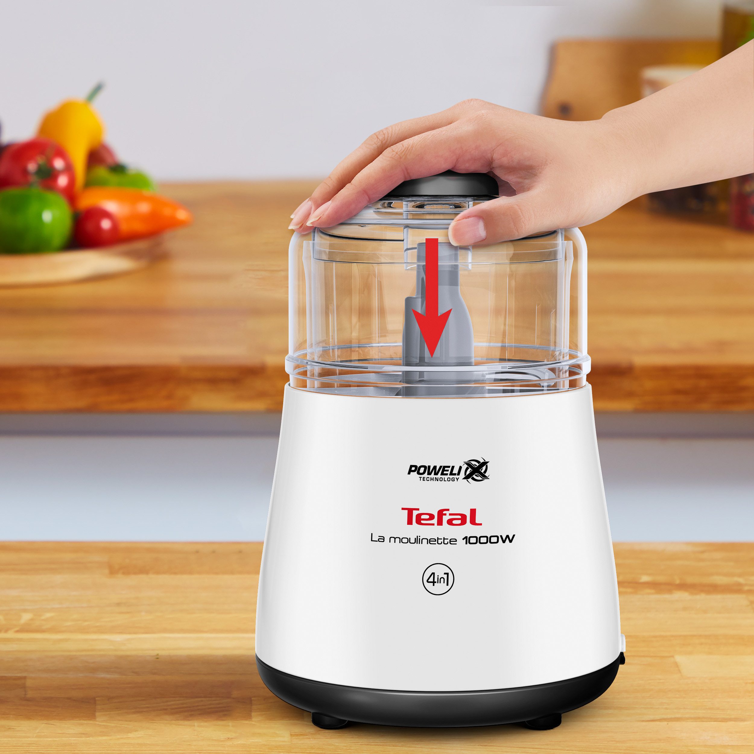 Tefal Hakmolen DPA130 La Moulinette