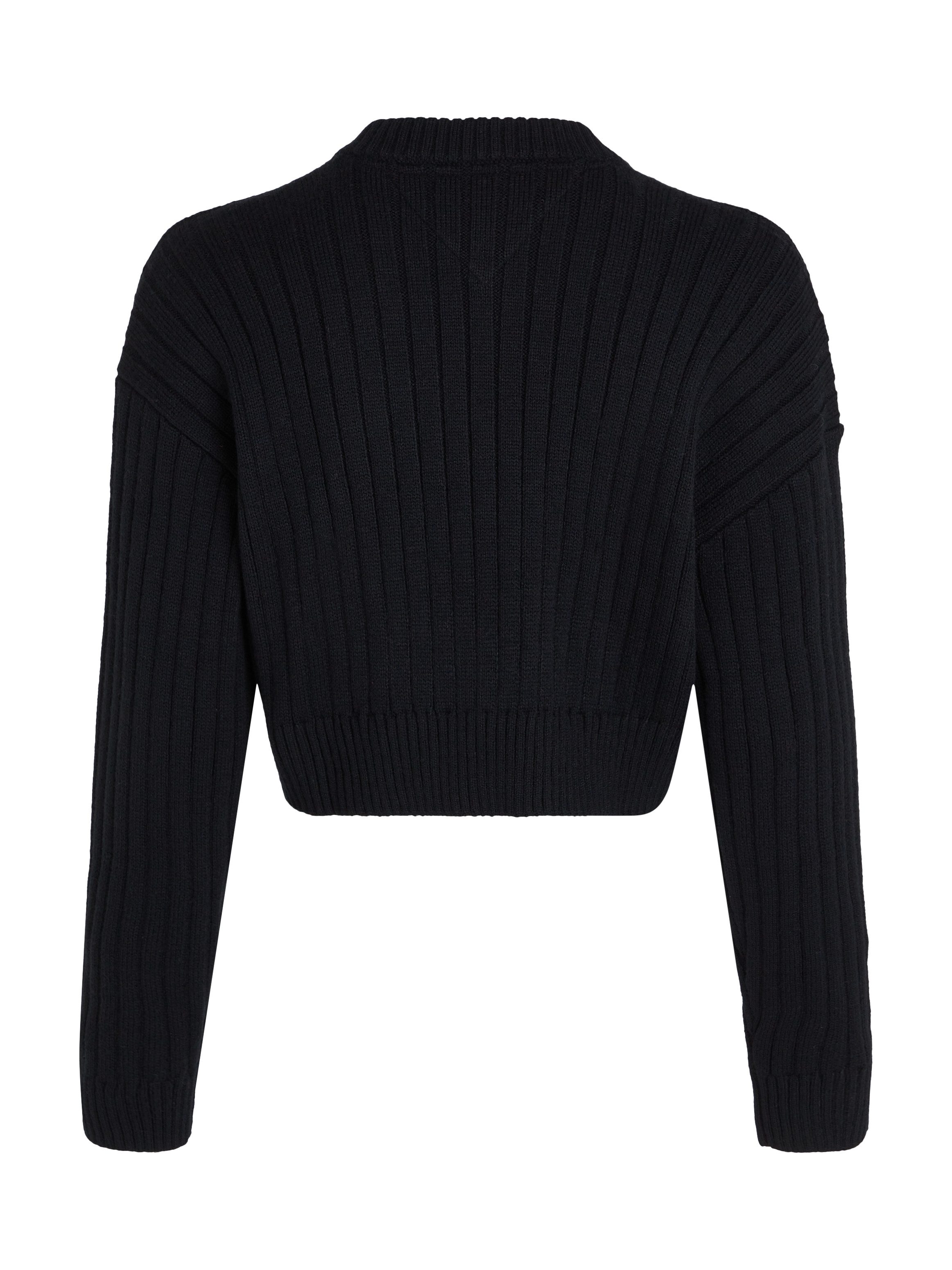 Tommy Jeans Curve Trui met V-hals TJW VNCK CENTER FLAG SWEATER EXT