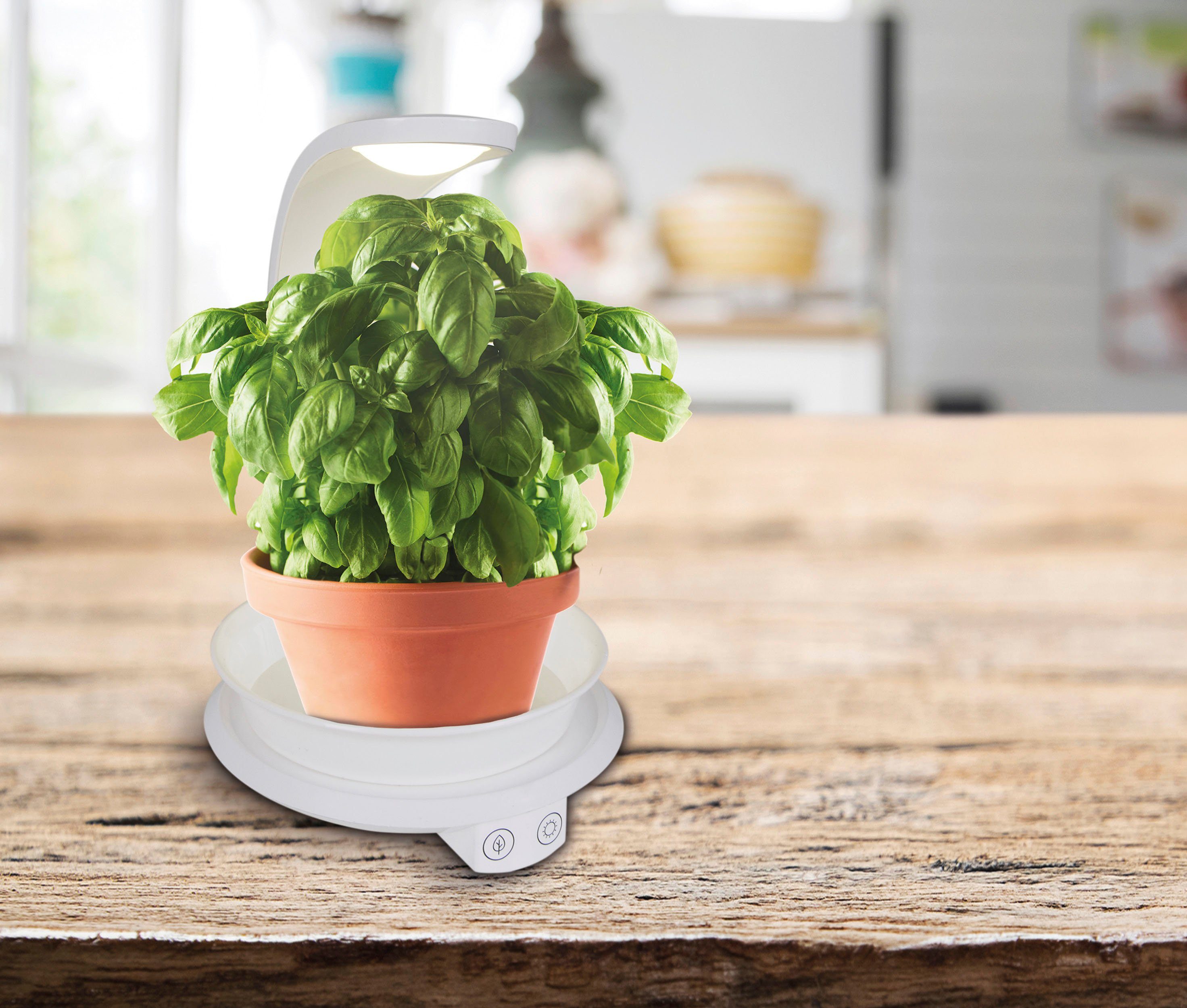 näve Led-tafellamp Grow Light Groeilamp, plantenlicht (paars) en neutraal wit, USB-kabel (1 stuk)